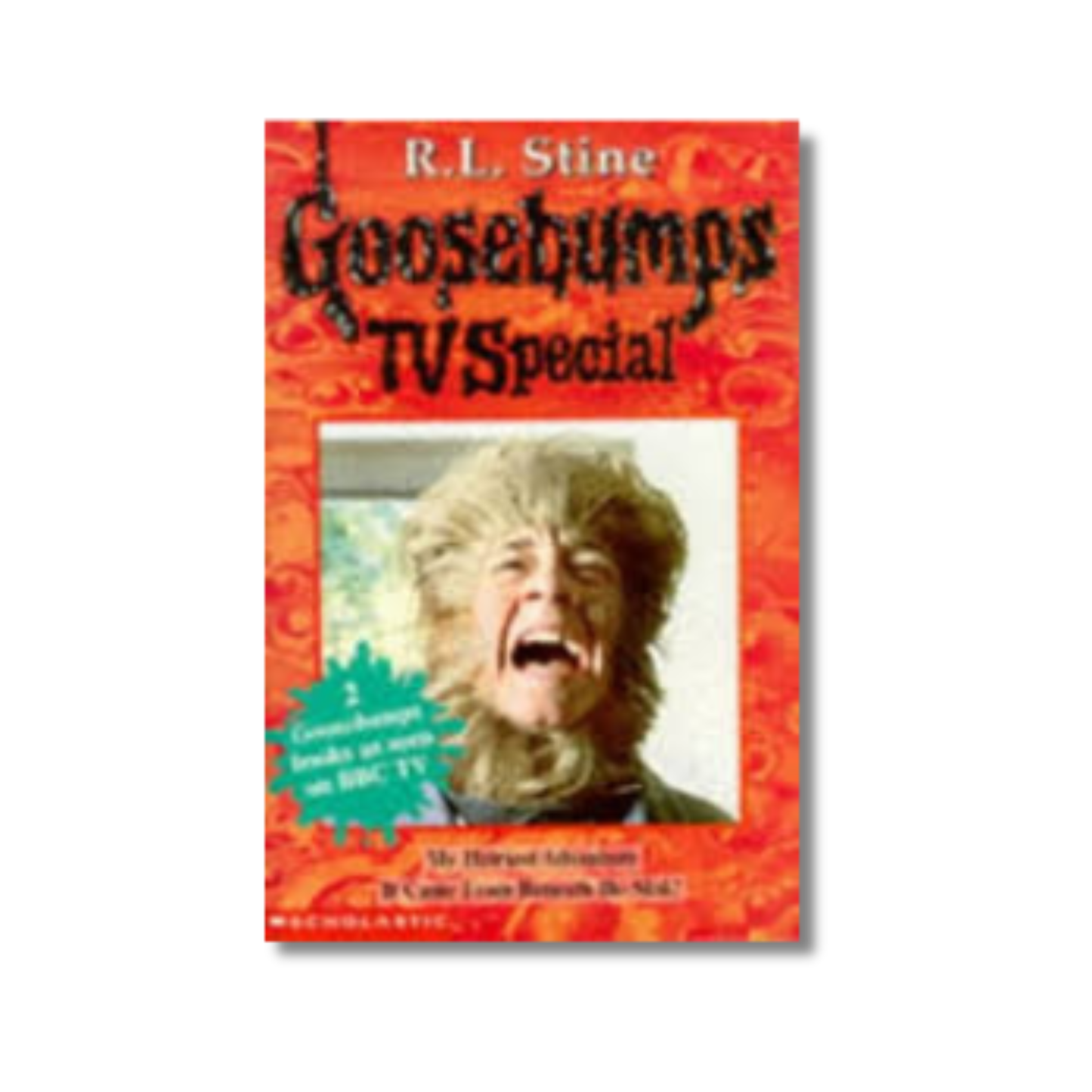 Goosebumps used book front cover