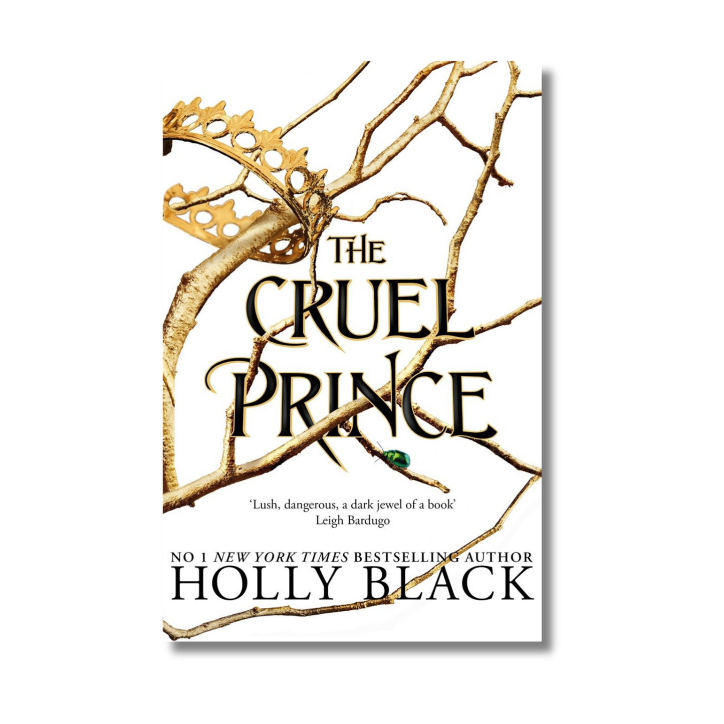 The Cruel Prince (The Folk of the Air 1) book cover