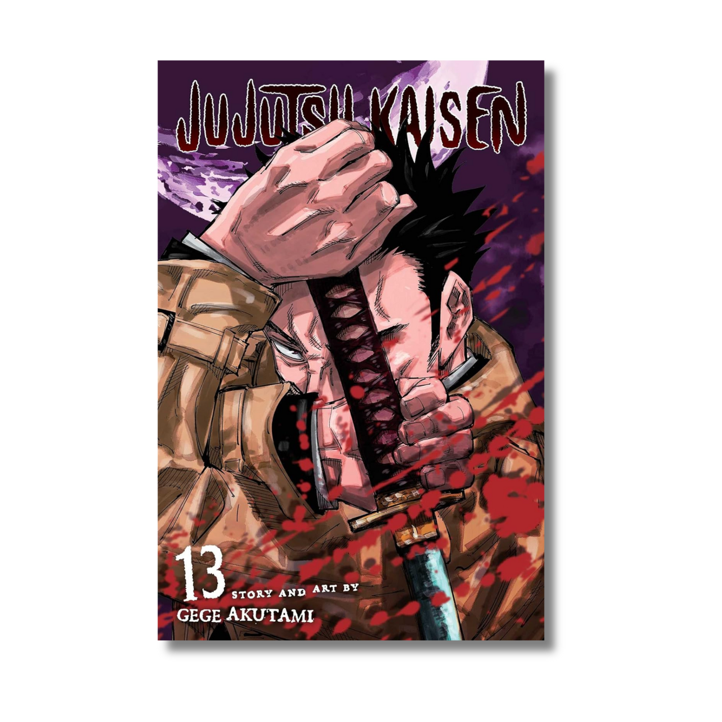 Jujutsu Kaisen Vol. 13