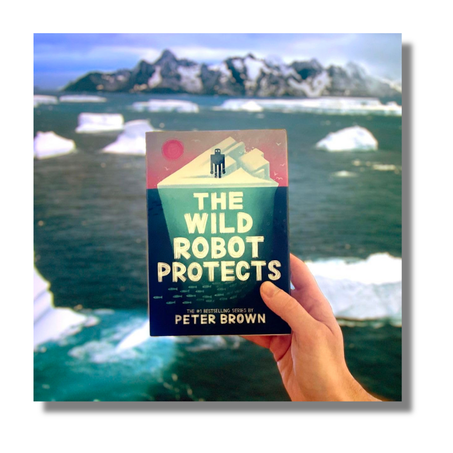 The Wild Robot Protects book - image 6