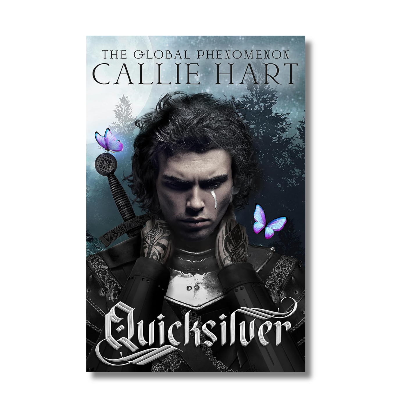 Quicksilver book cover