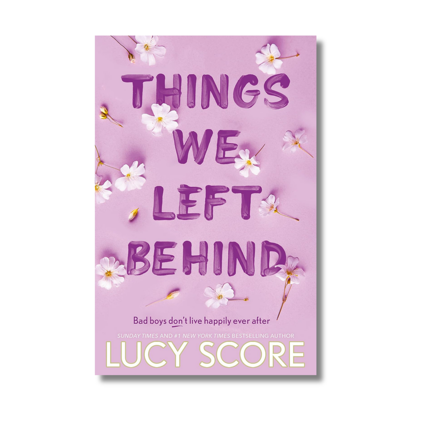 Things We Left Behind