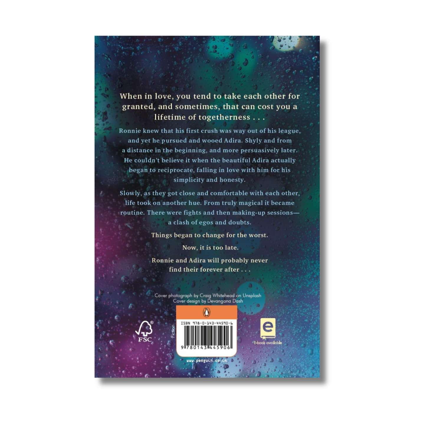 Something I Never Told You book - image 2