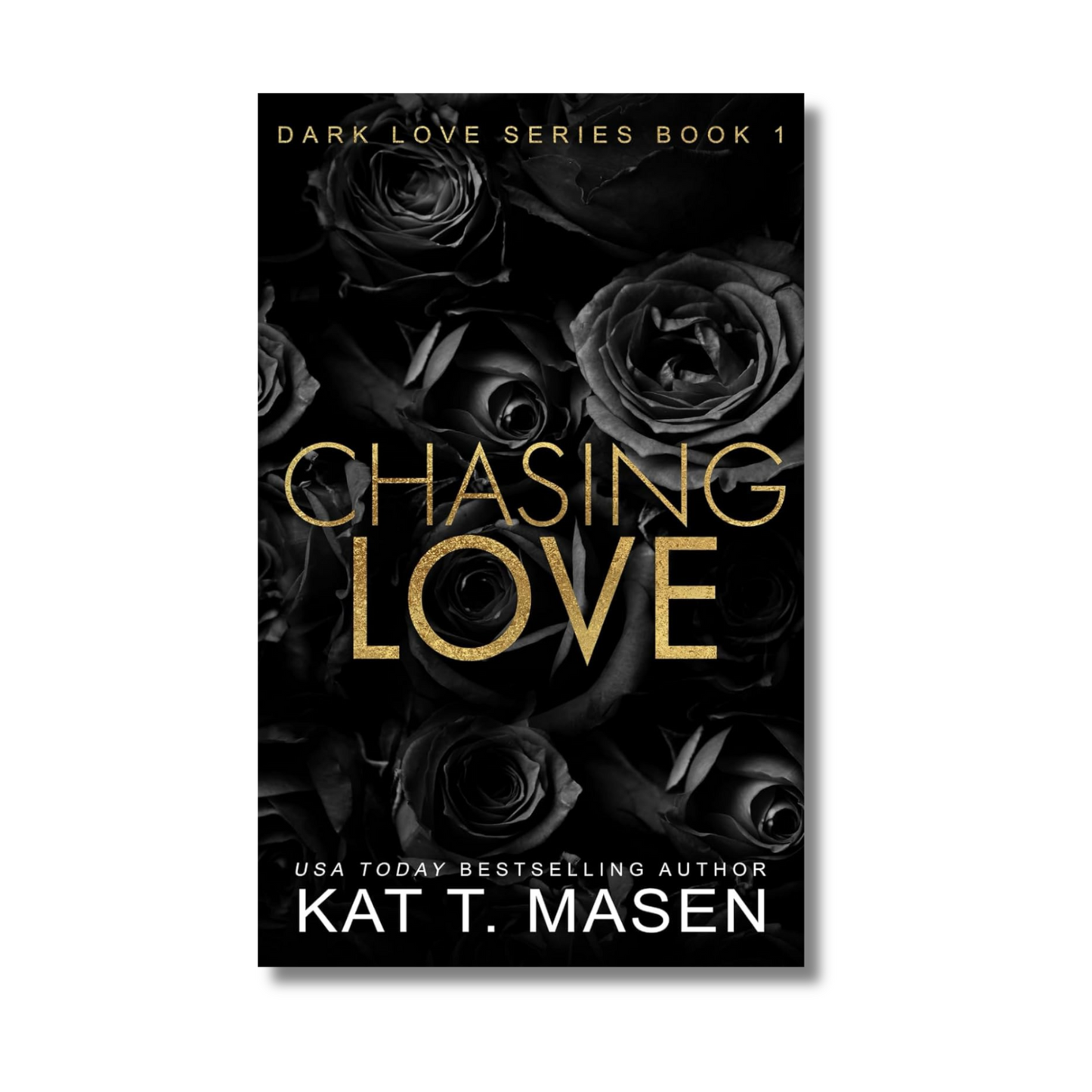 Chasing Love (Dark Love Series Book 1 of 6)
