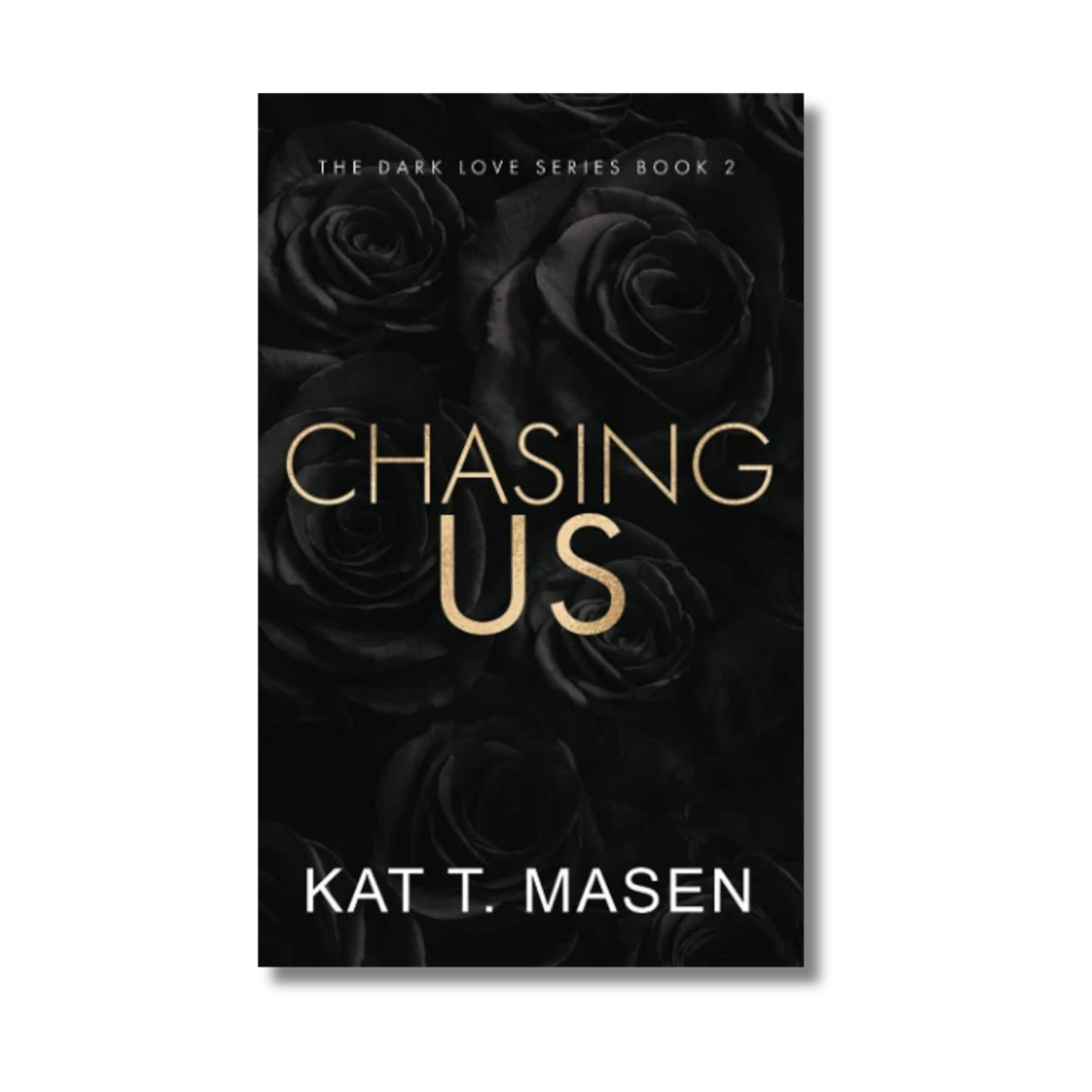 Chasing Us (Dark Love Series Book 2 of 6)