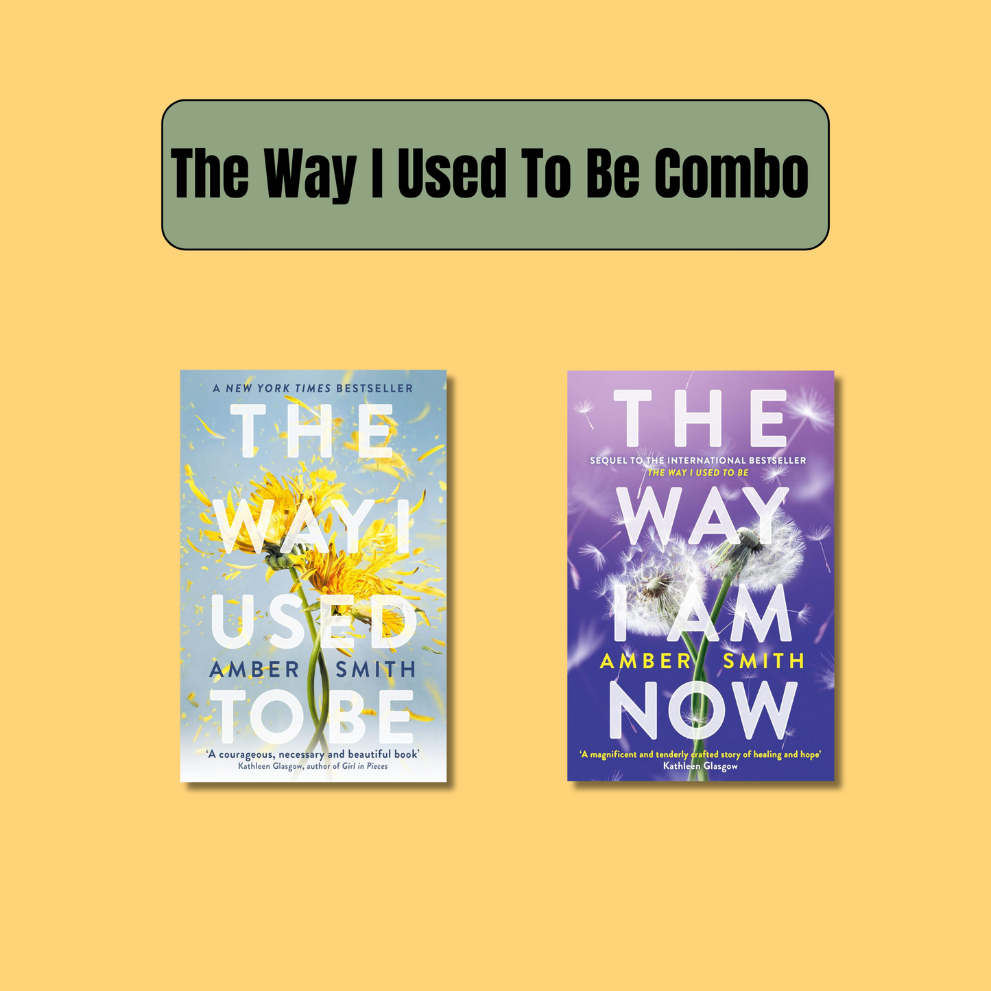 The Way I Used To Be Combo: 2 Books (Paperback) book combo set