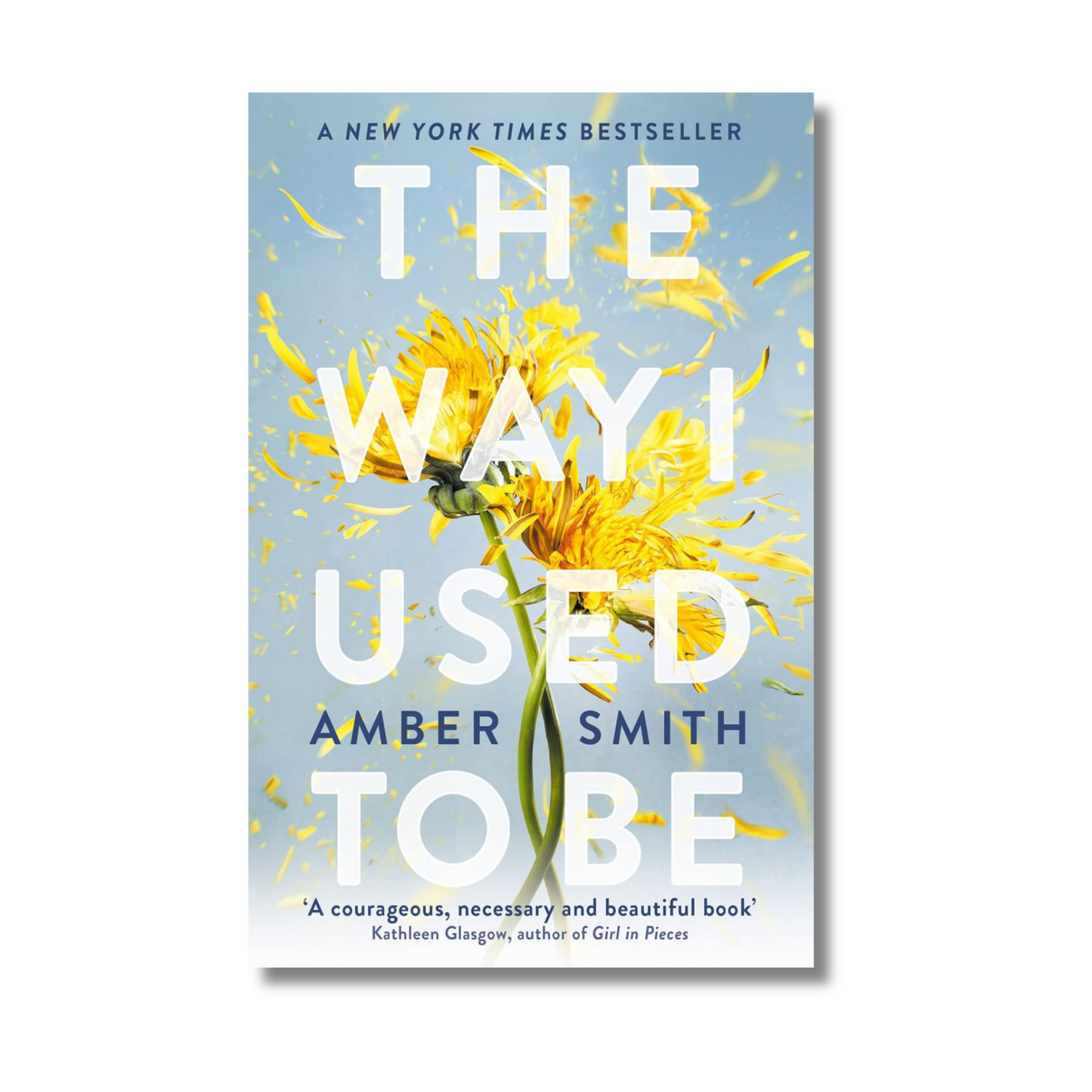 The Way I Used To Be book cover
