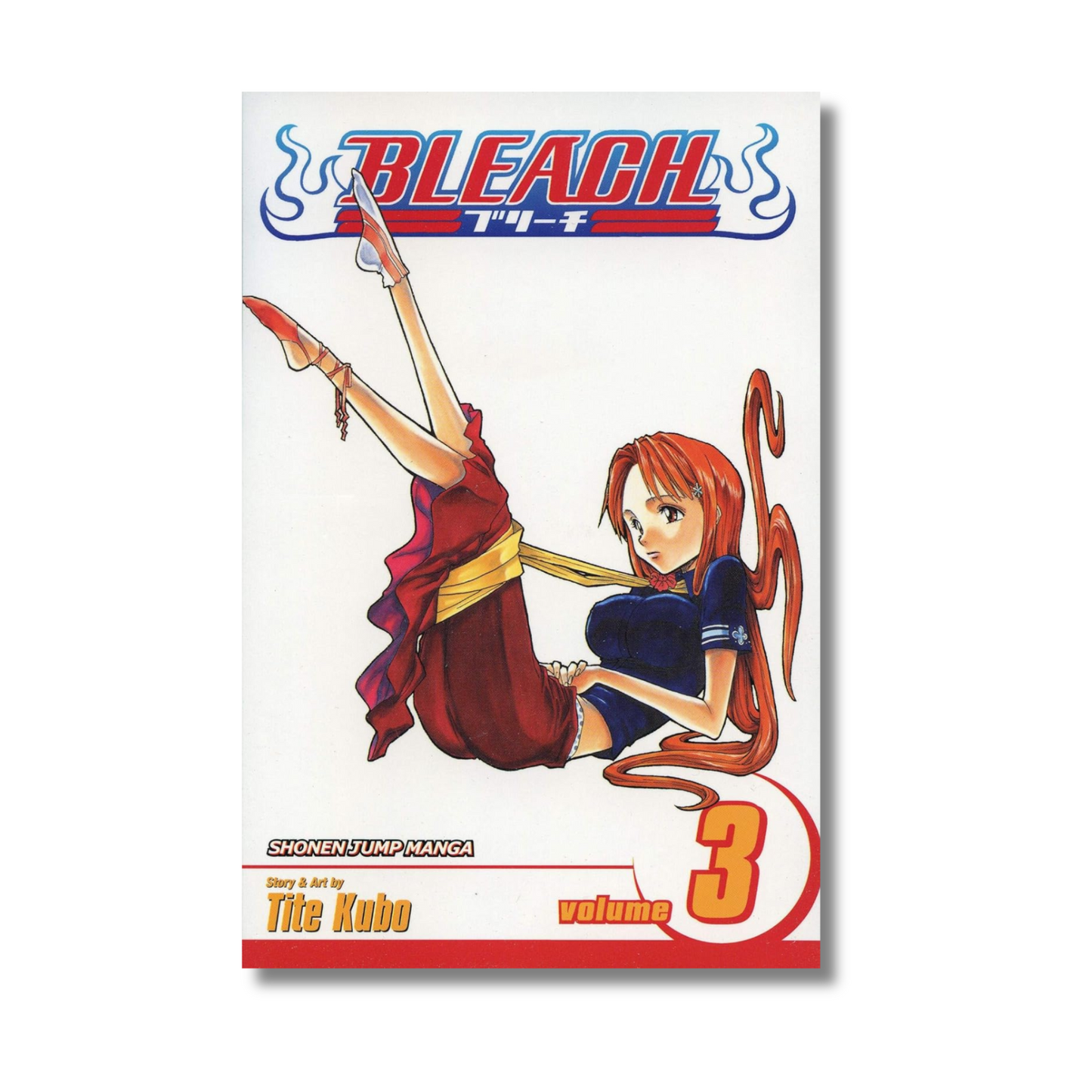 Bleach Vol 3