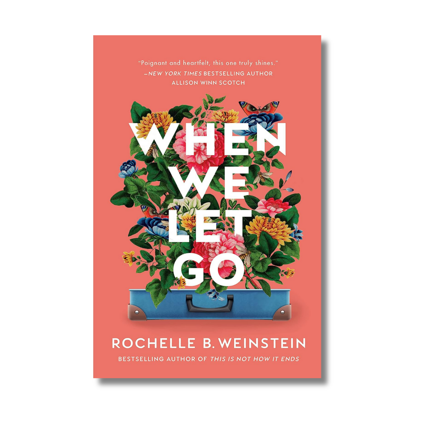 When We Let Go book cover