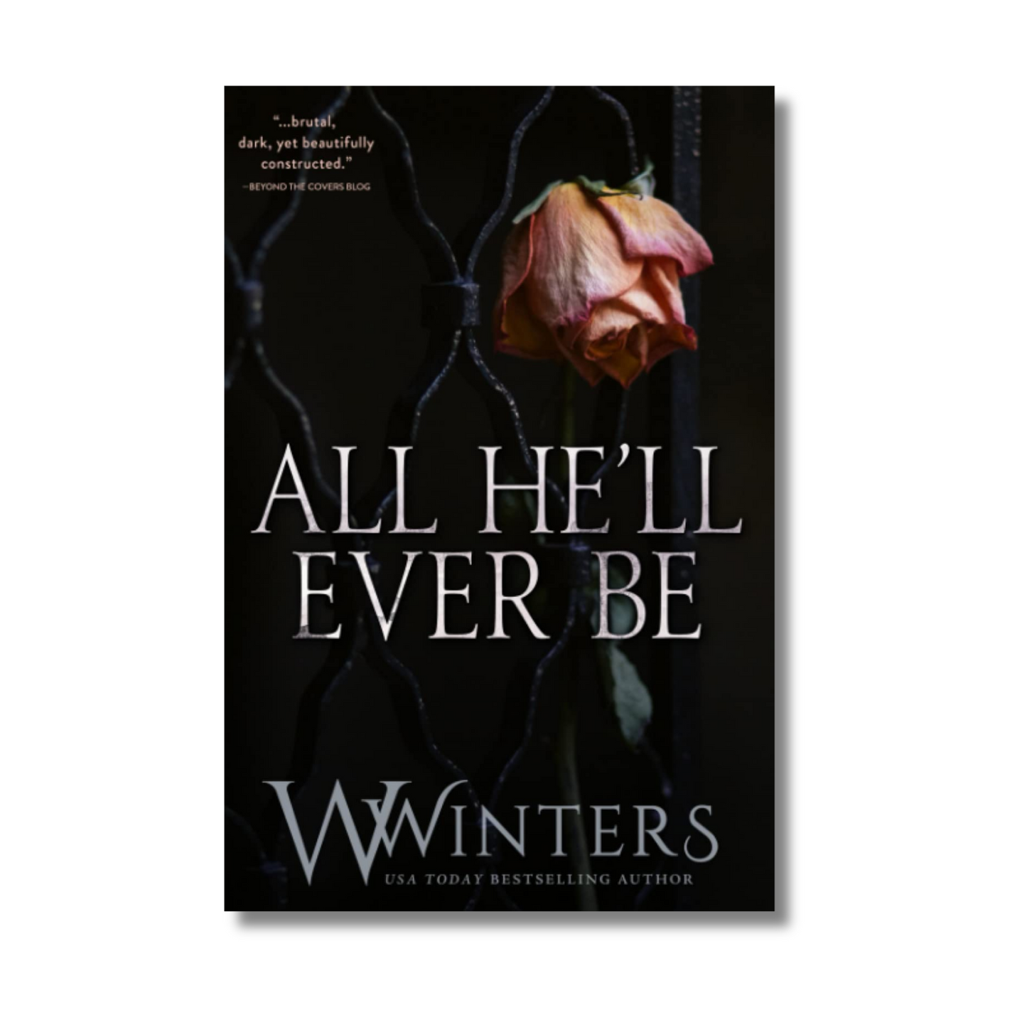 All He'll Ever Be book cover