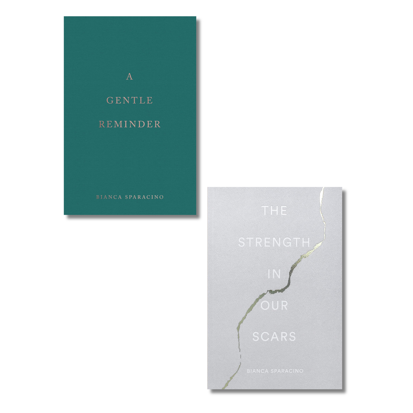 (COMBO PACK) A Gentle Reminder + The Strength In Our Scars (Paperback) book combo set