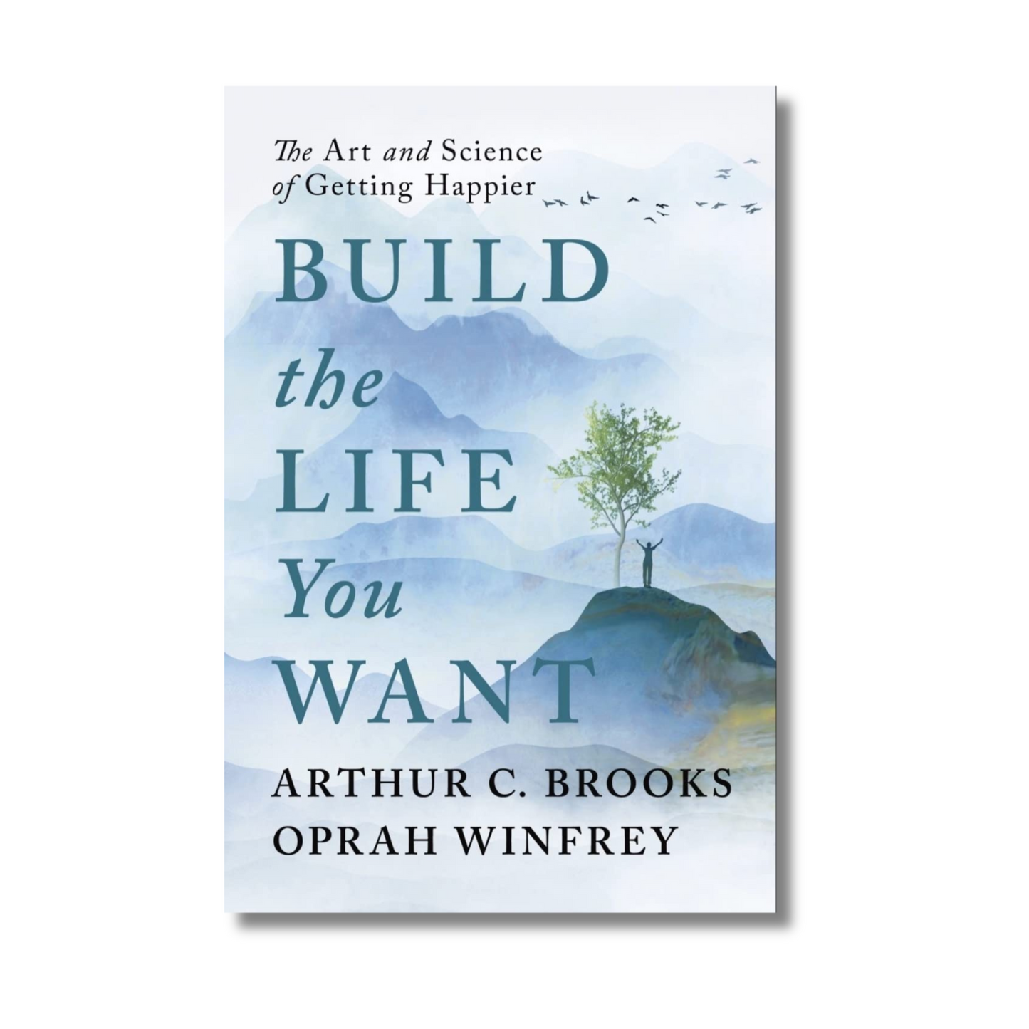 Build the Life You Want book cover