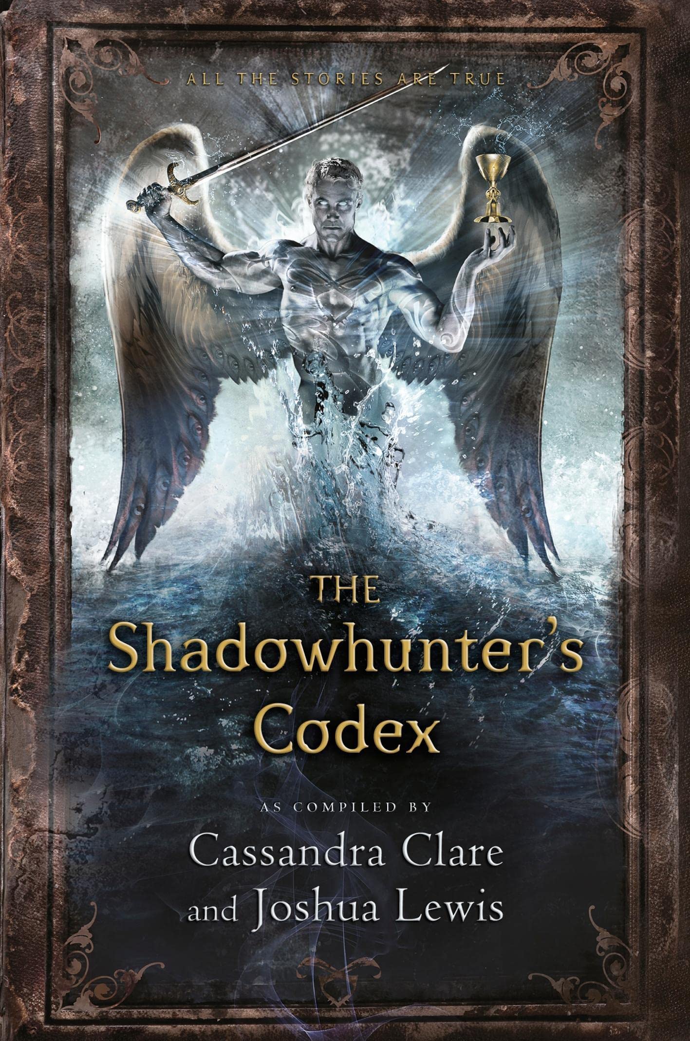 The Shadowhunter's Codex book cover