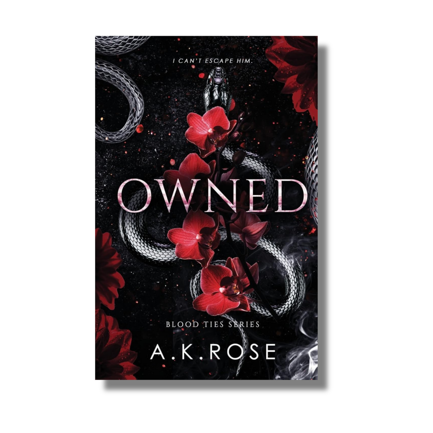 Owned:- (Blood Ties Secrets Vol 4)