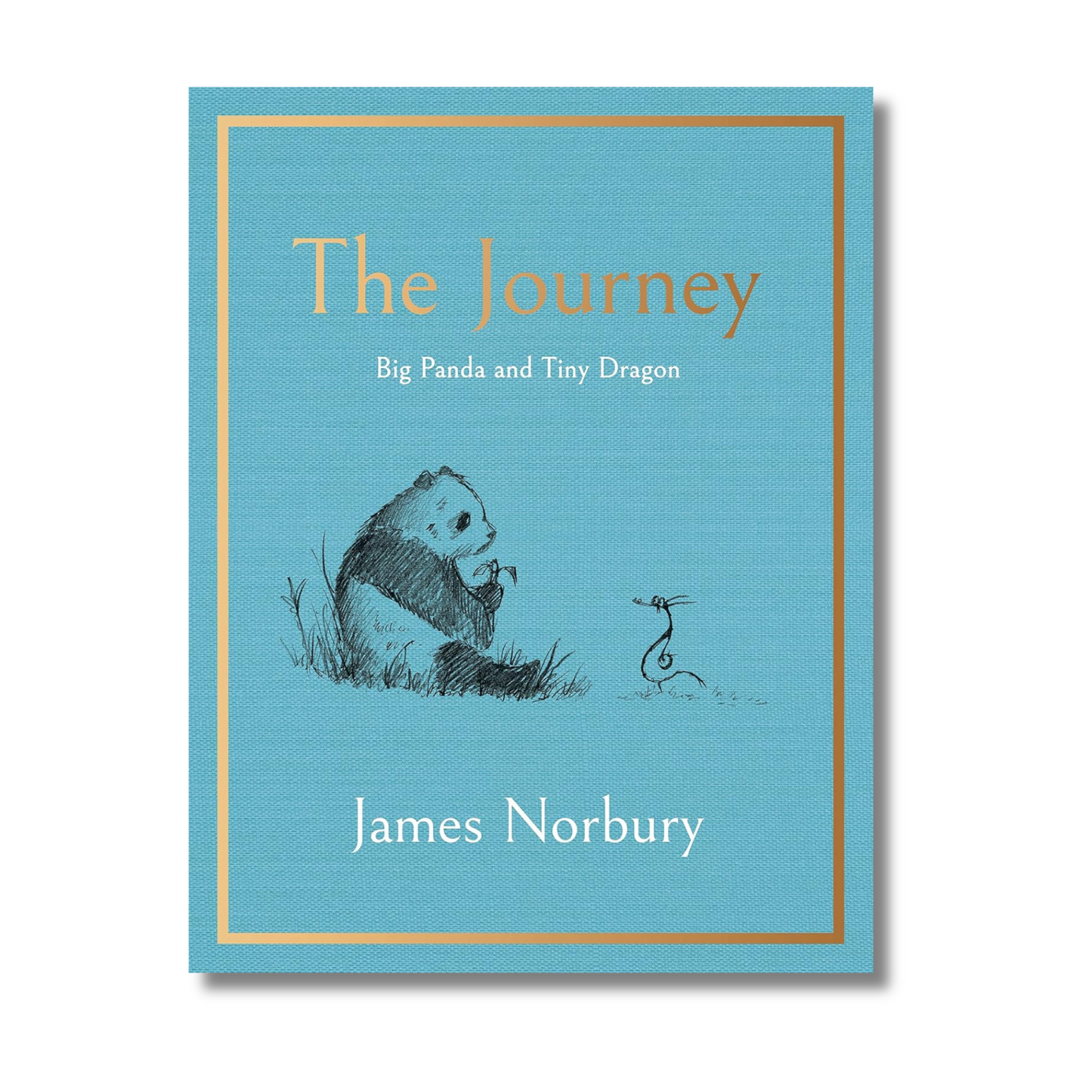 The Journey A Big Panda and Tiny Dragon Adventure