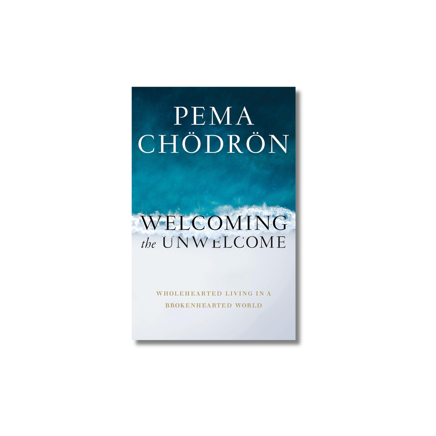 Welcoming the Unwelcome book cover