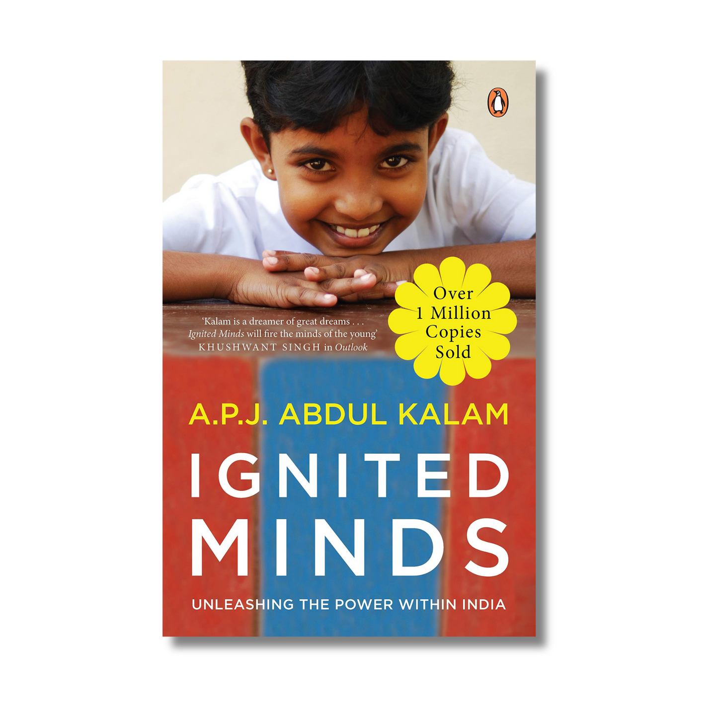 Ignited Minds book cover