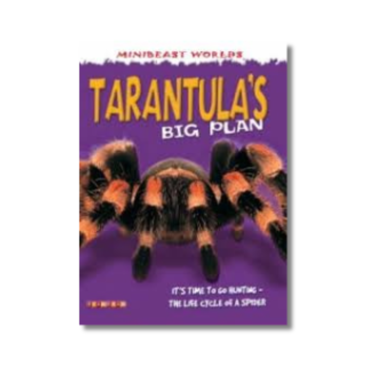 Tarantulas Big Plan