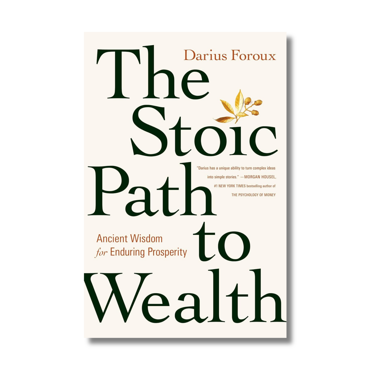 The Stoic Path To Wealth: Ancient Wisdom For Enduring Prosperity book cover