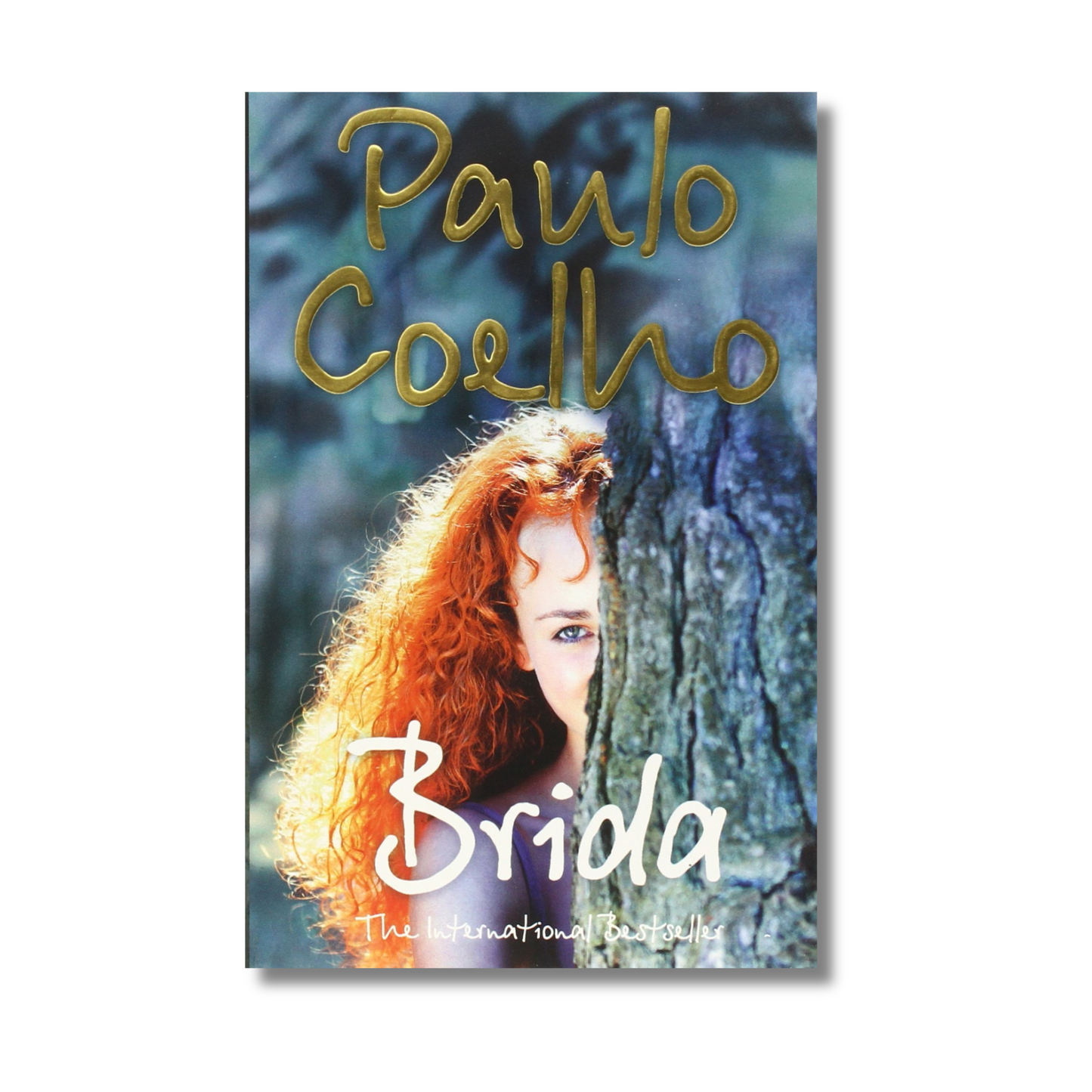 Brida book cover