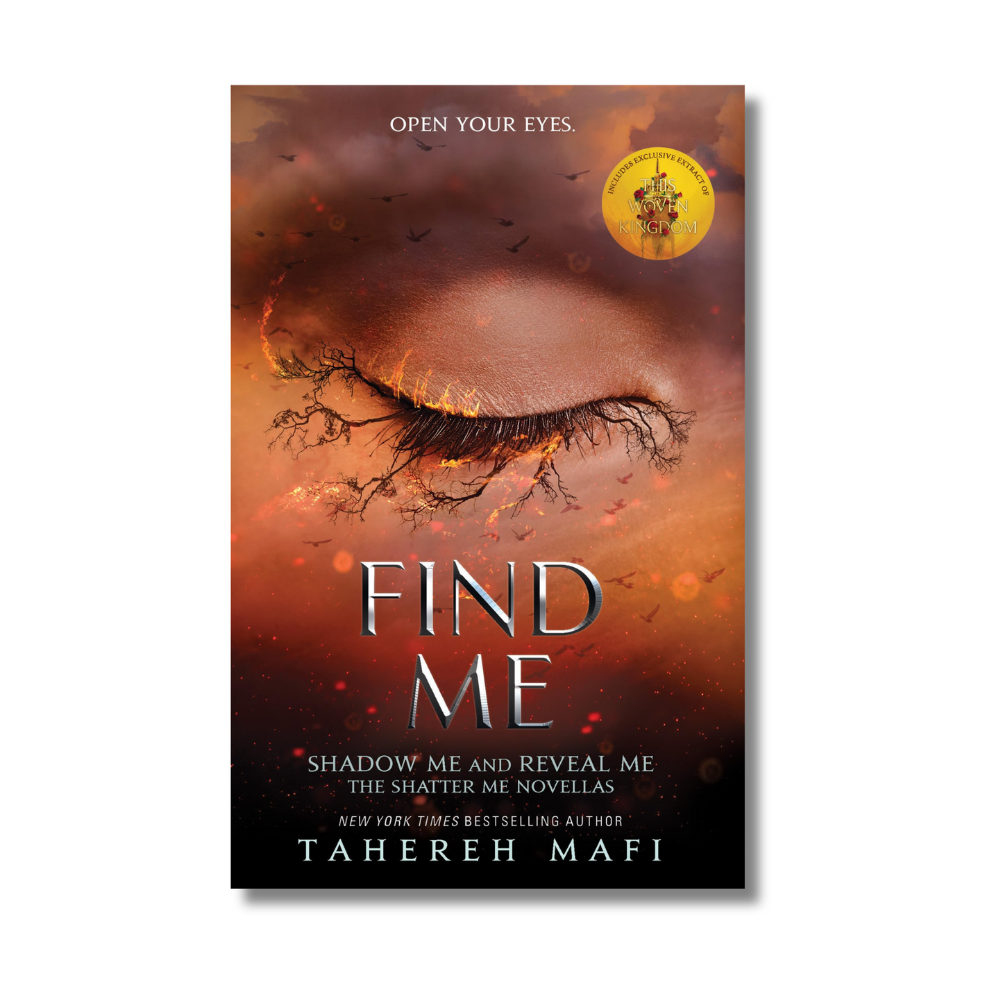 Find Me book cover