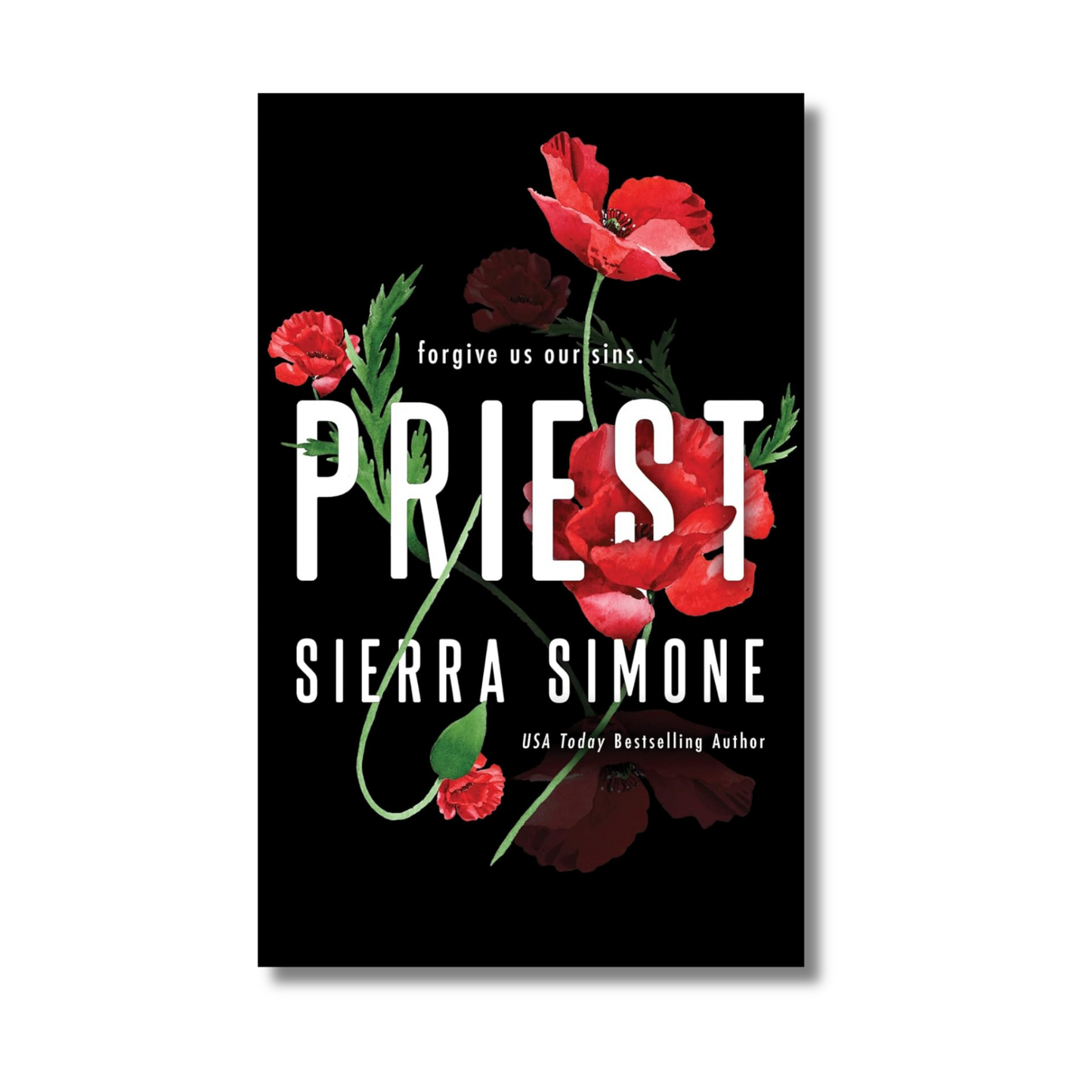 Priest book cover