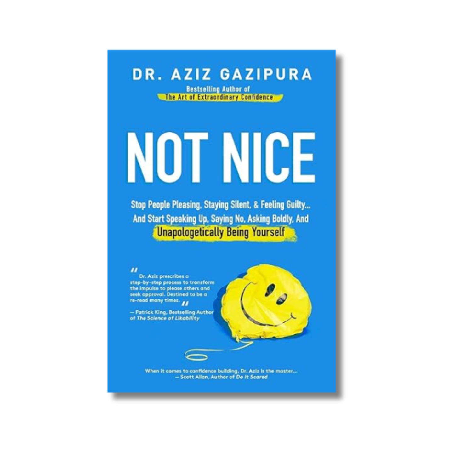 Not Nice book cover