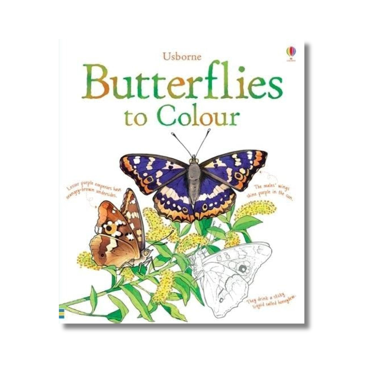 Butterflies to Colour