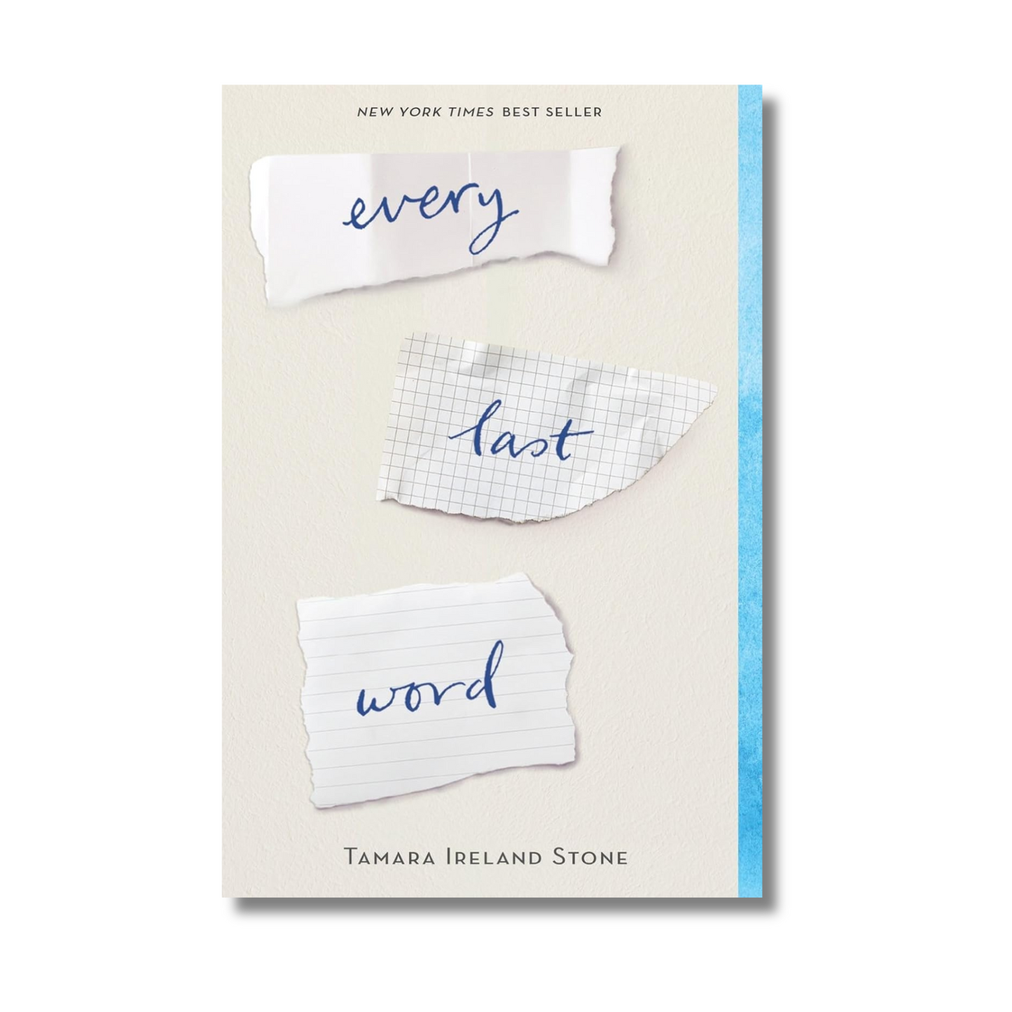 Every Last Word By Tamara Ireland Stone (Paperback) book cover