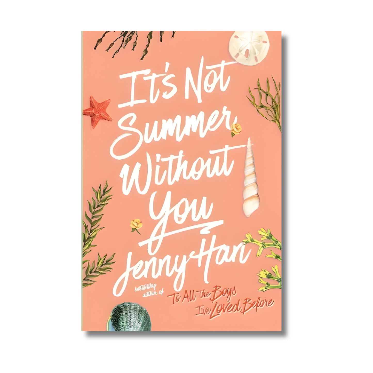 It's Not Summer without you book cover