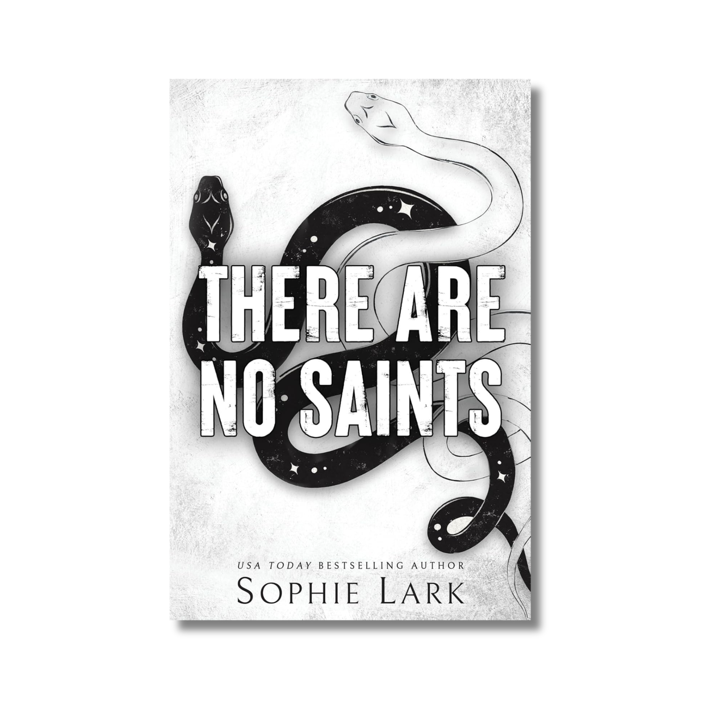 There Are No Saints book cover