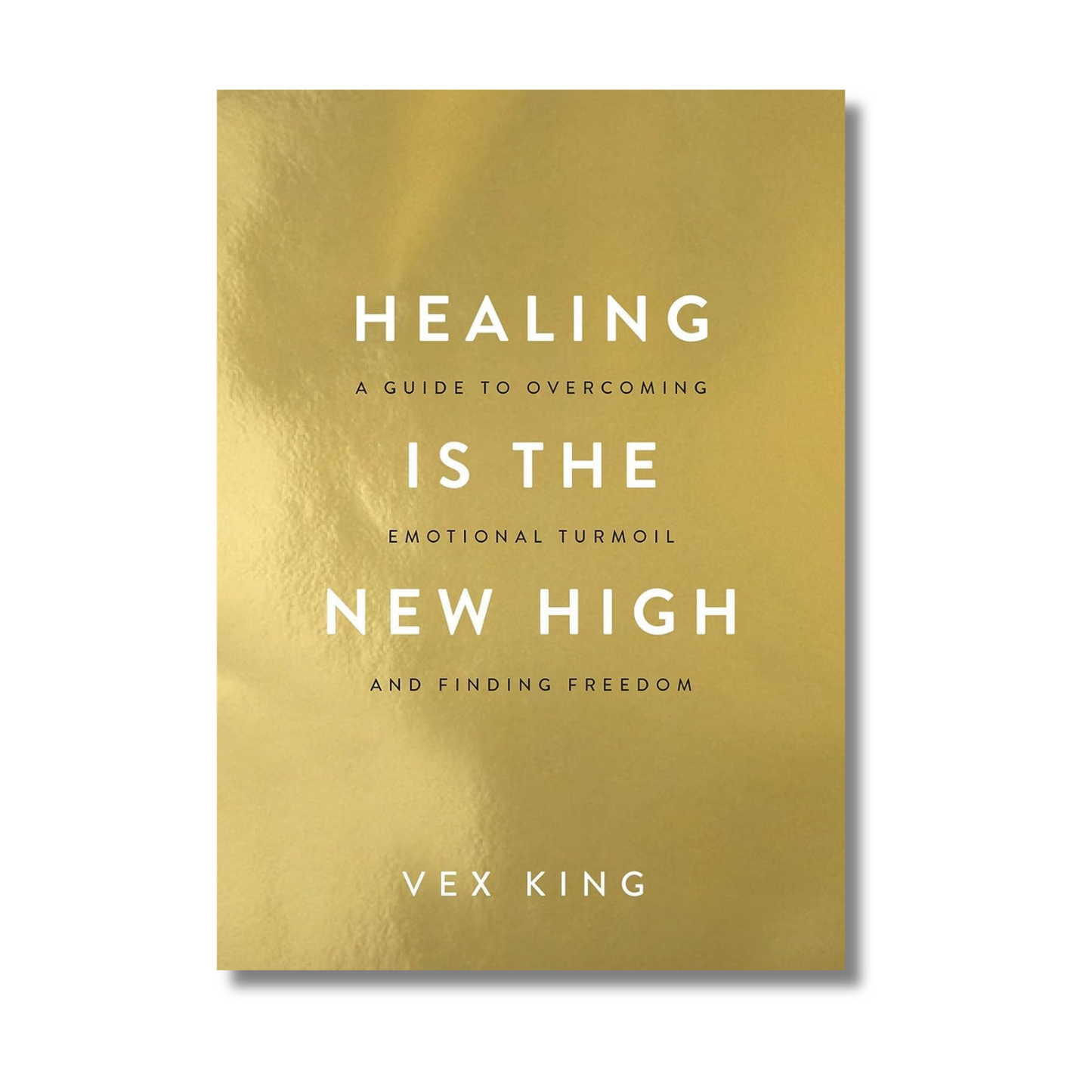 Healing Is the New High book cover