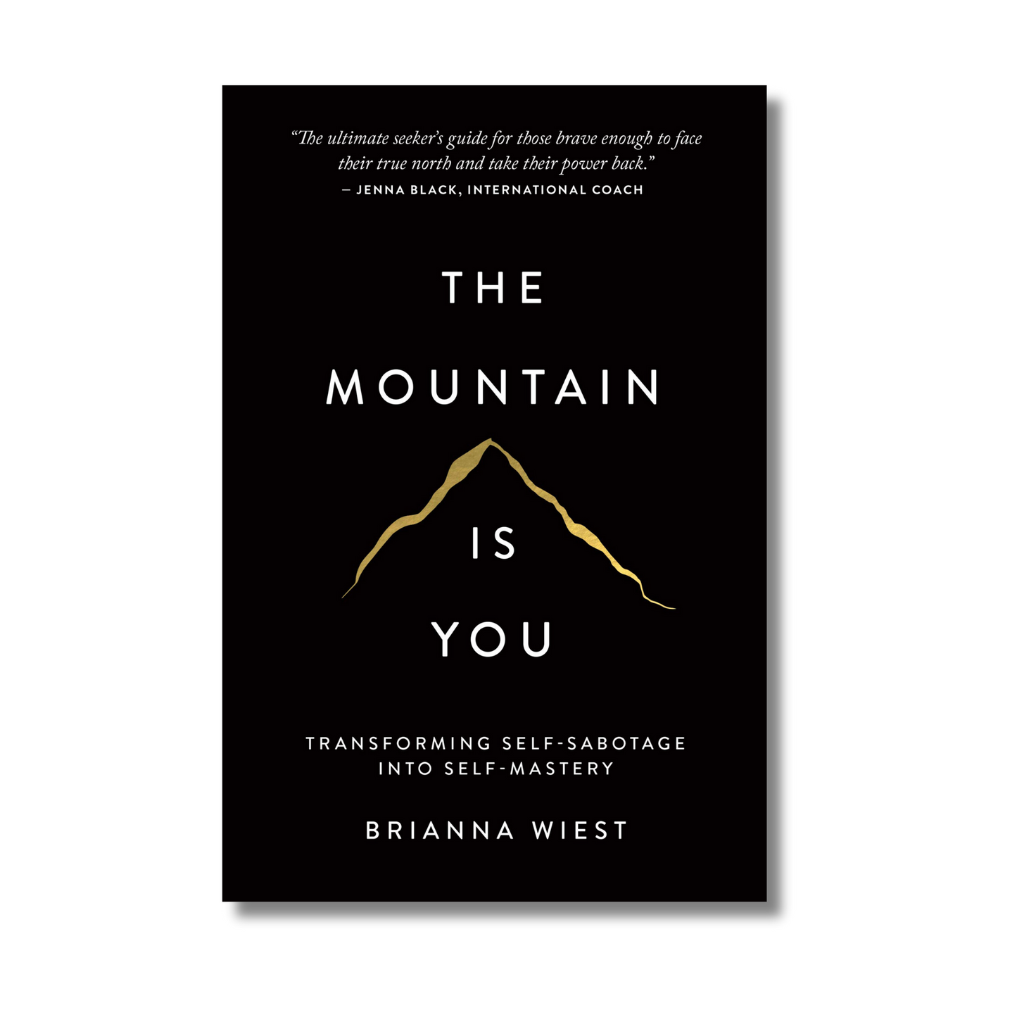 The Mountain Is You By Brianna Wiest (Paperback)