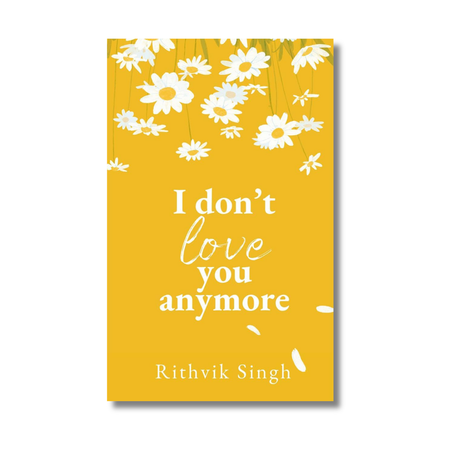I Don't Love You Anymore book cover