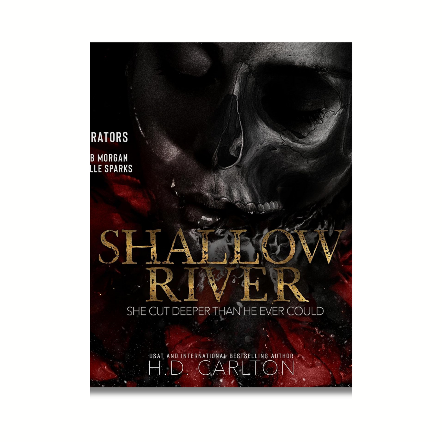 Shallow River book cover