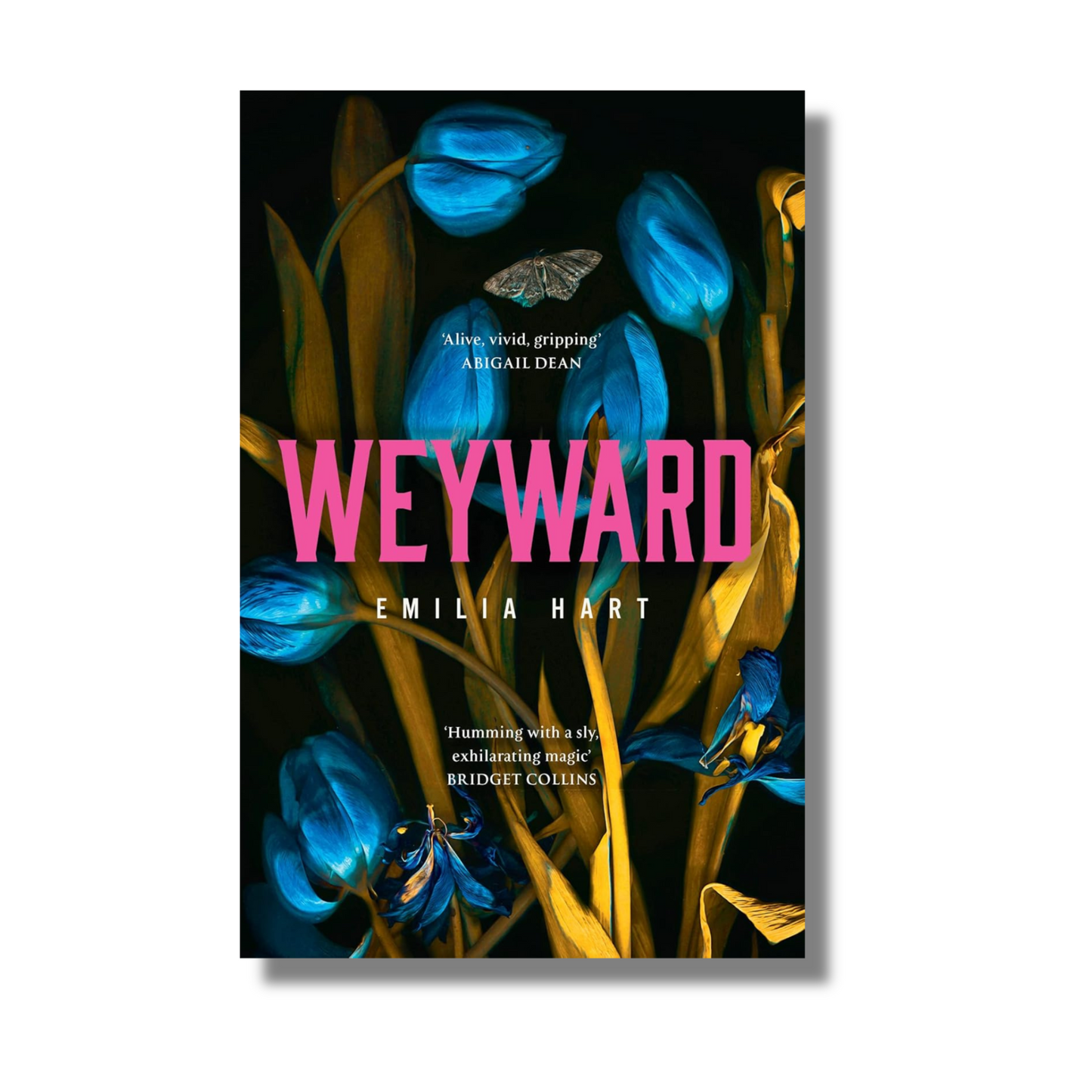 Weyward