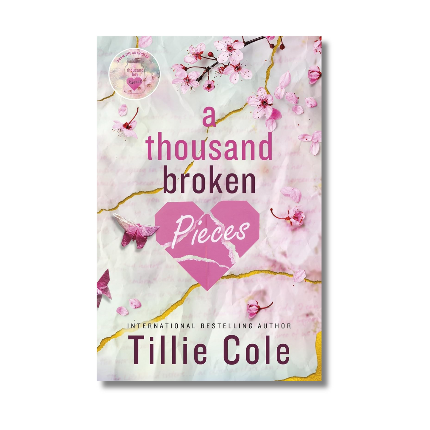 A Thousand Broken Pieces book cover