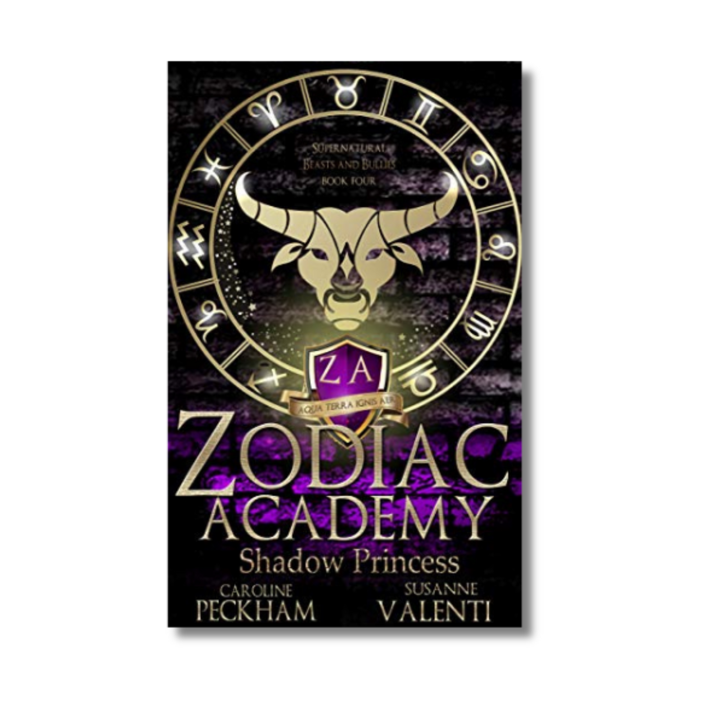 Shadow Princess: Zodiac Academy #4
