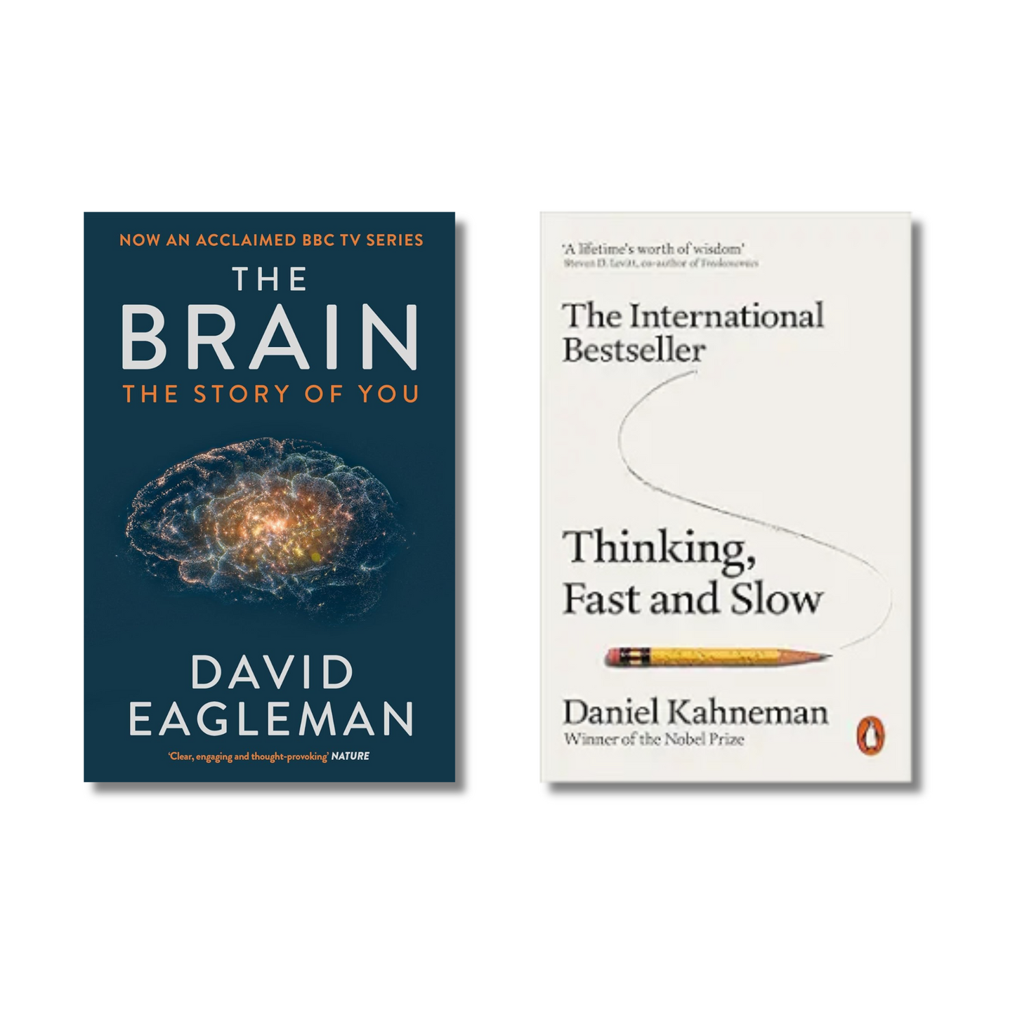 (Combo 2 Book) The Brain + Thinking, Fast and Slow
