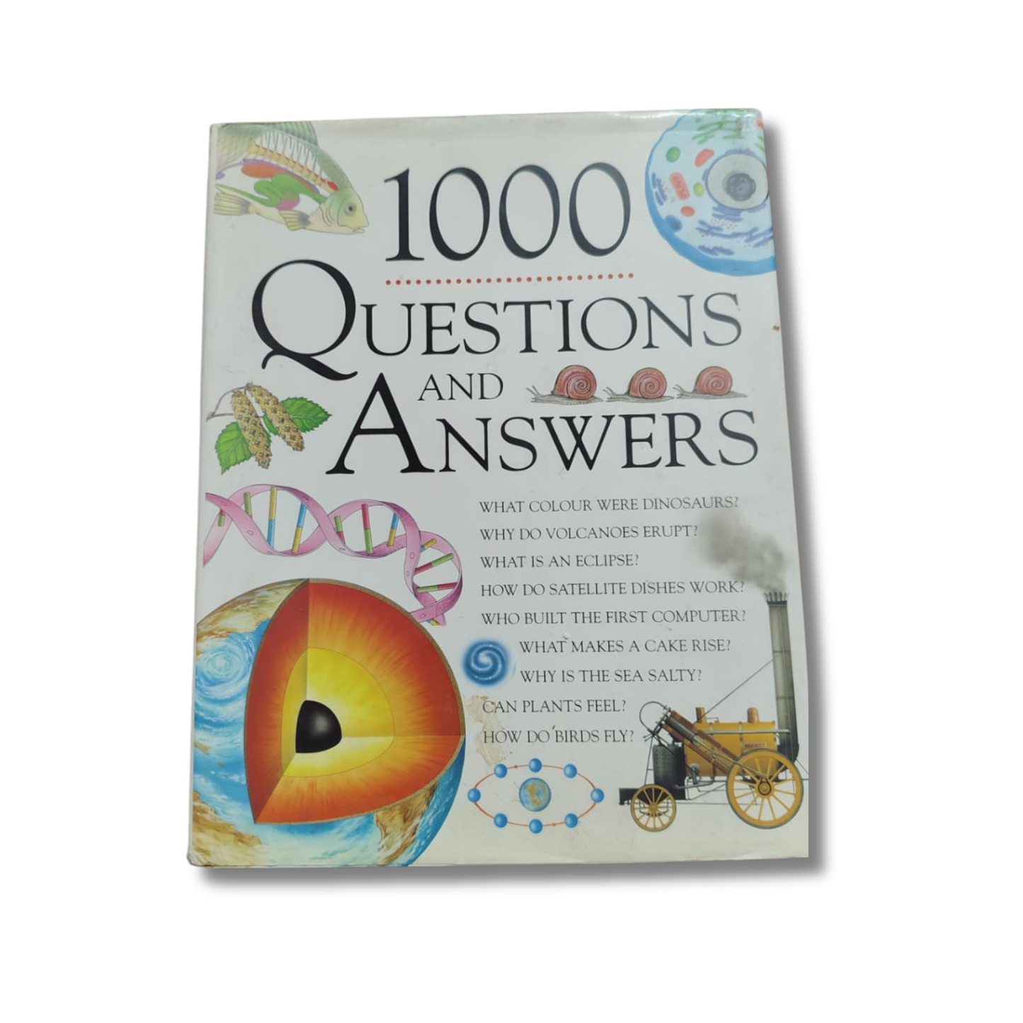 1000 Questions and Answers