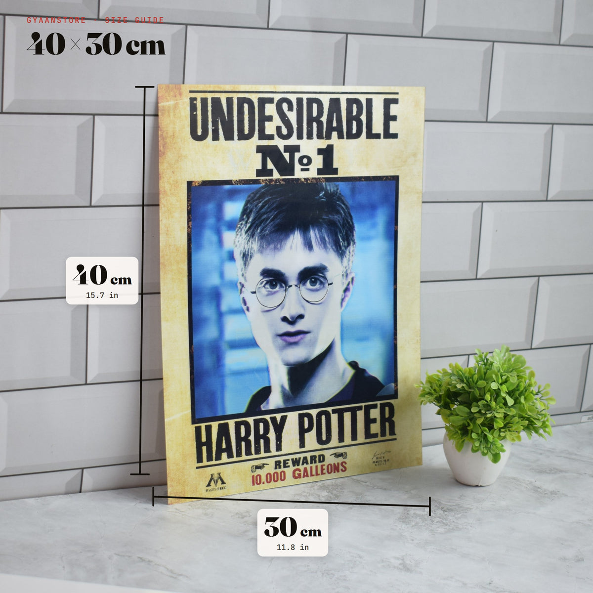 Harry Potter Wanted Colour Edition (Undesirable No.1 & Sirius Black) 3D Lenticular A3 Poster – size guide 40 x 30 cm