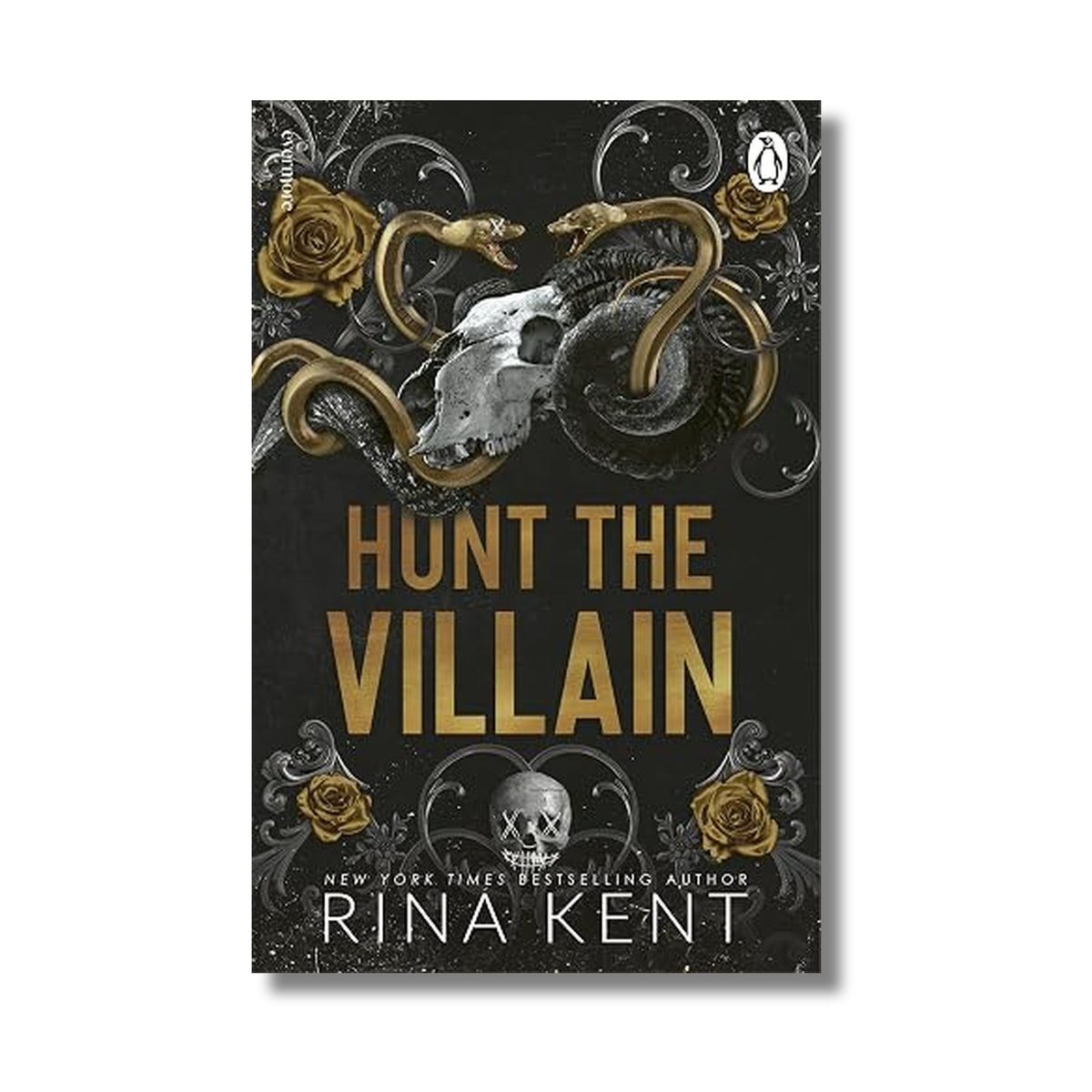 Hunt the Villain book cover