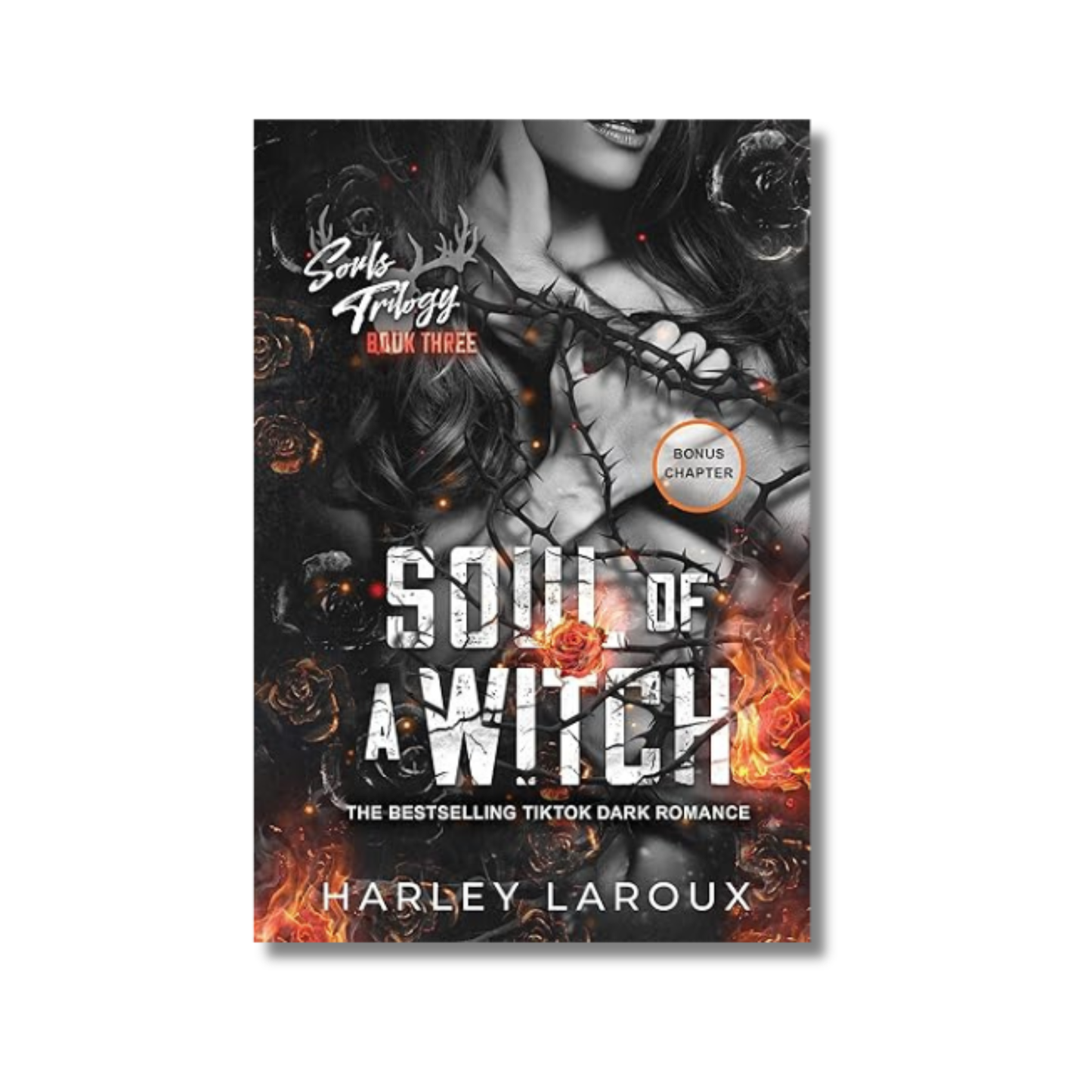Soul of a Witch: Souls Trilogy #3 book cover