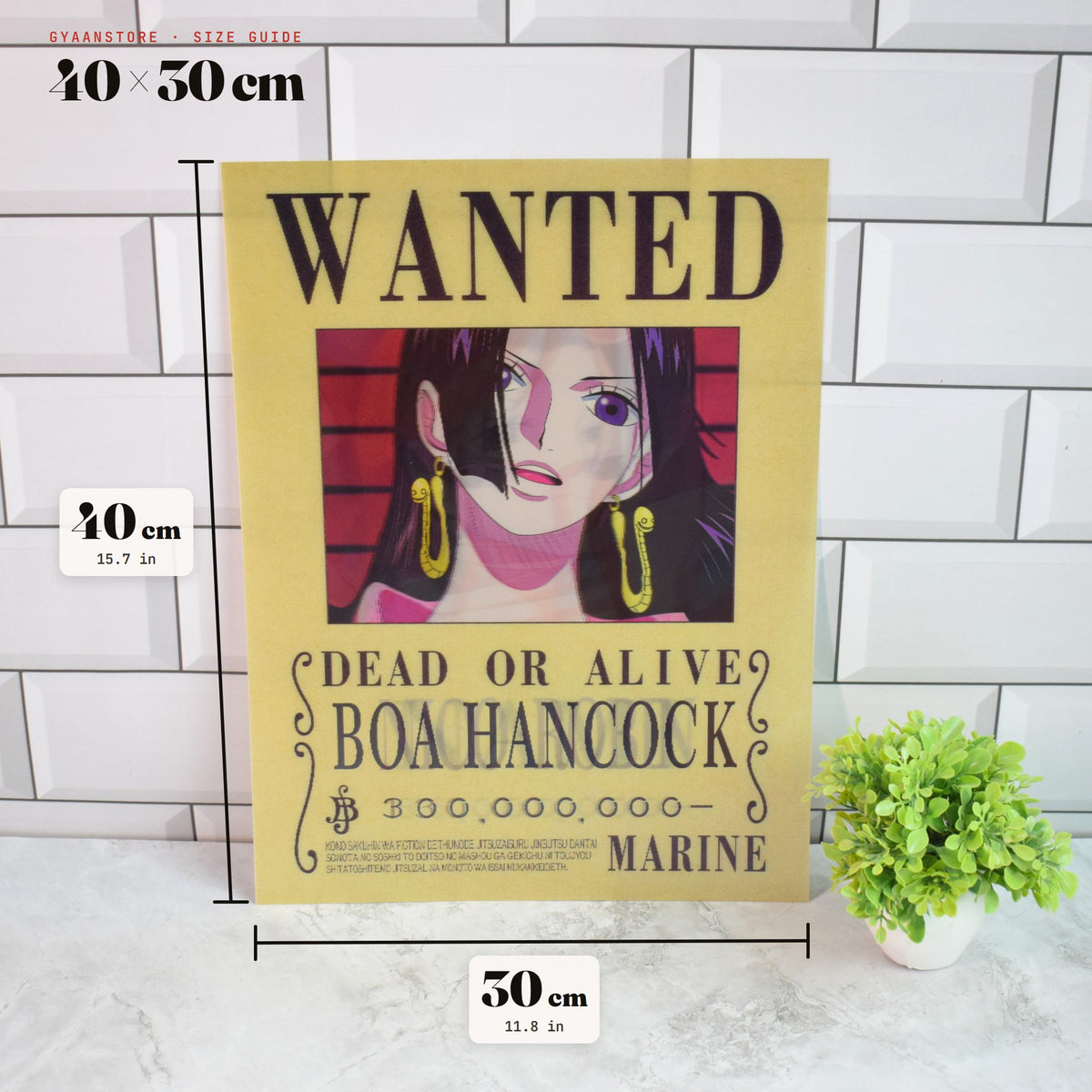 One Piece Wanted (Boa Hancock, Robin & Nami) 3D Lenticular A3 Poster – size guide 40 x 30 cm