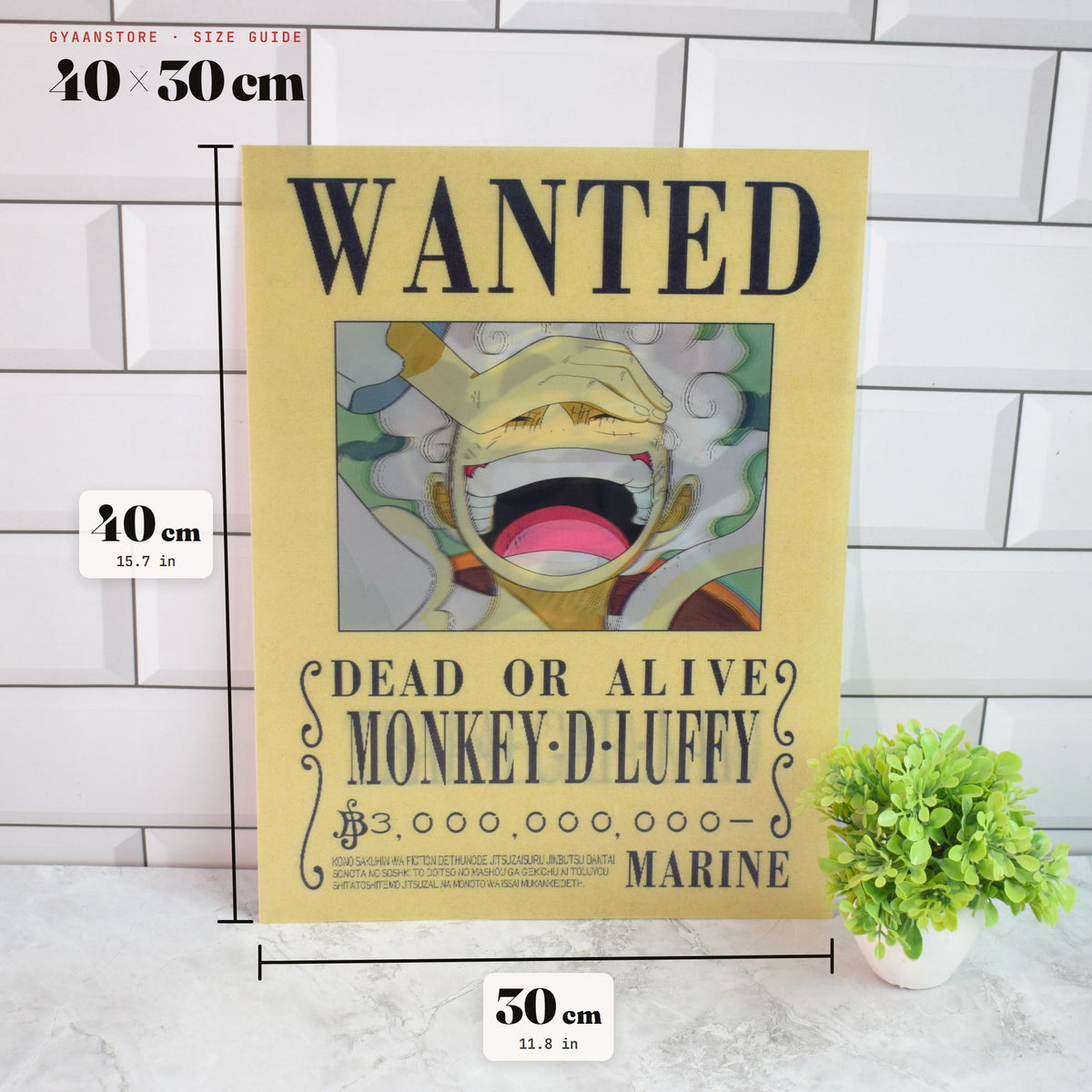 One Piece Wanted (Luffy, Law & Kid) 3D Lenticular A3 Poster – size guide 40 x 30 cm