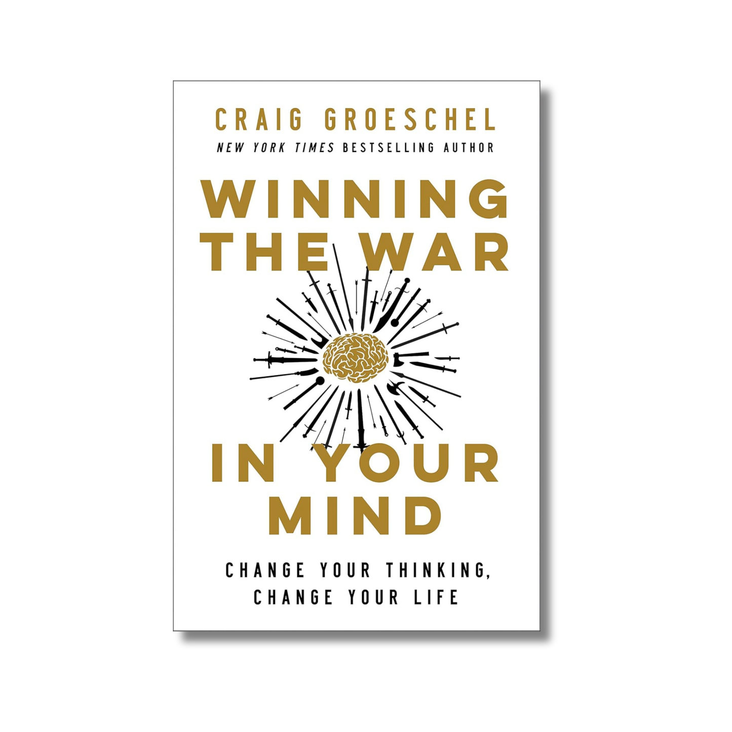 Winning the War in Your Mind book cover