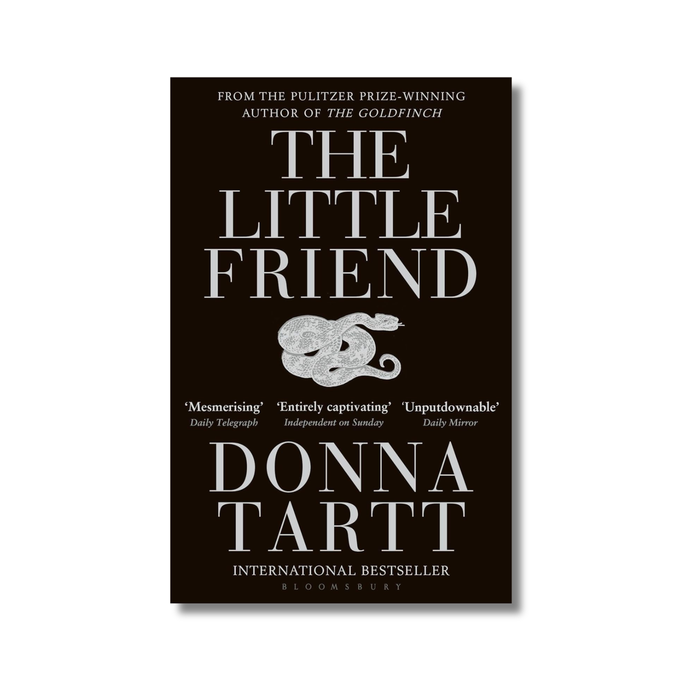 Little Friend book cover