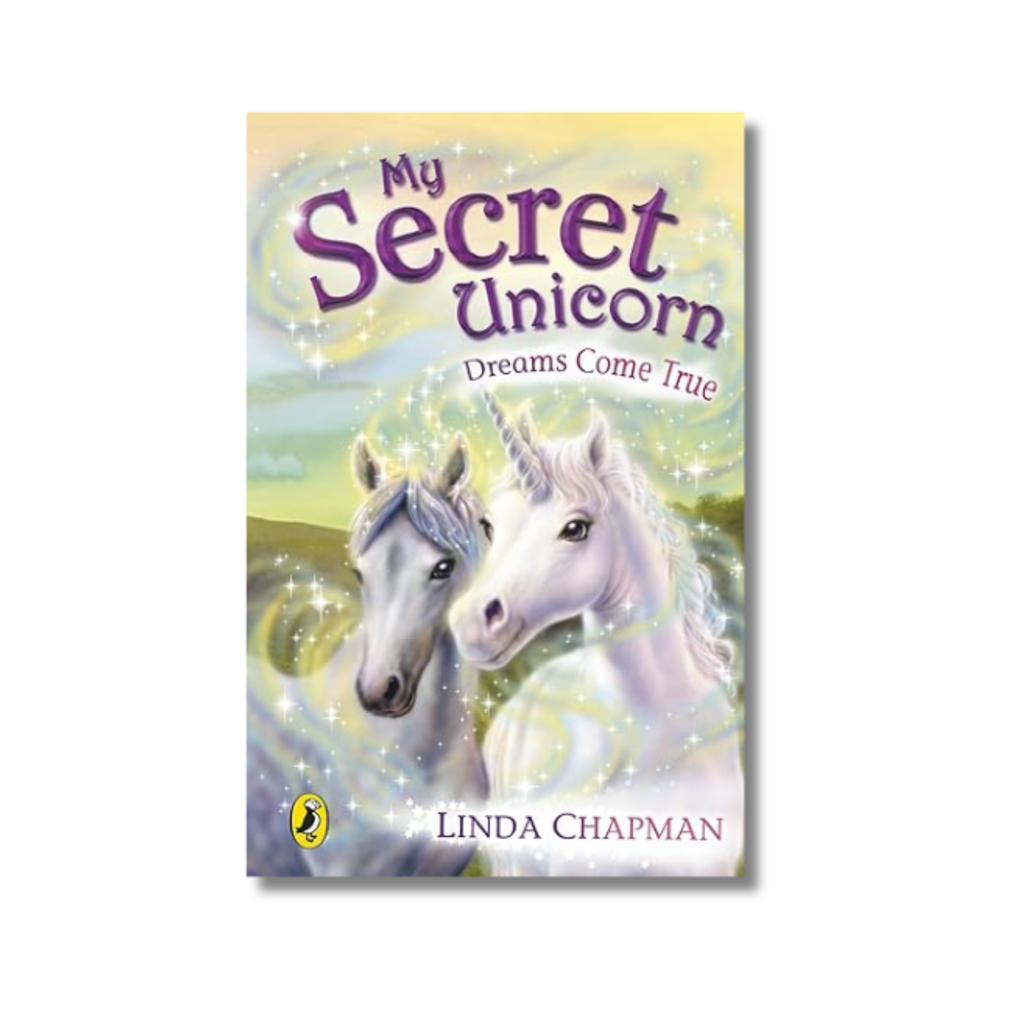 My Secret Unicorn