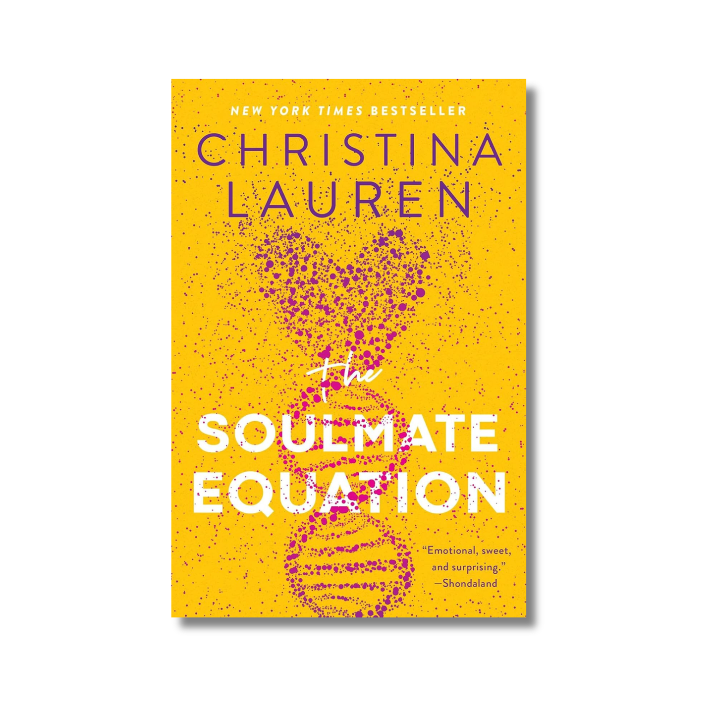 The Soulmate Equation book cover