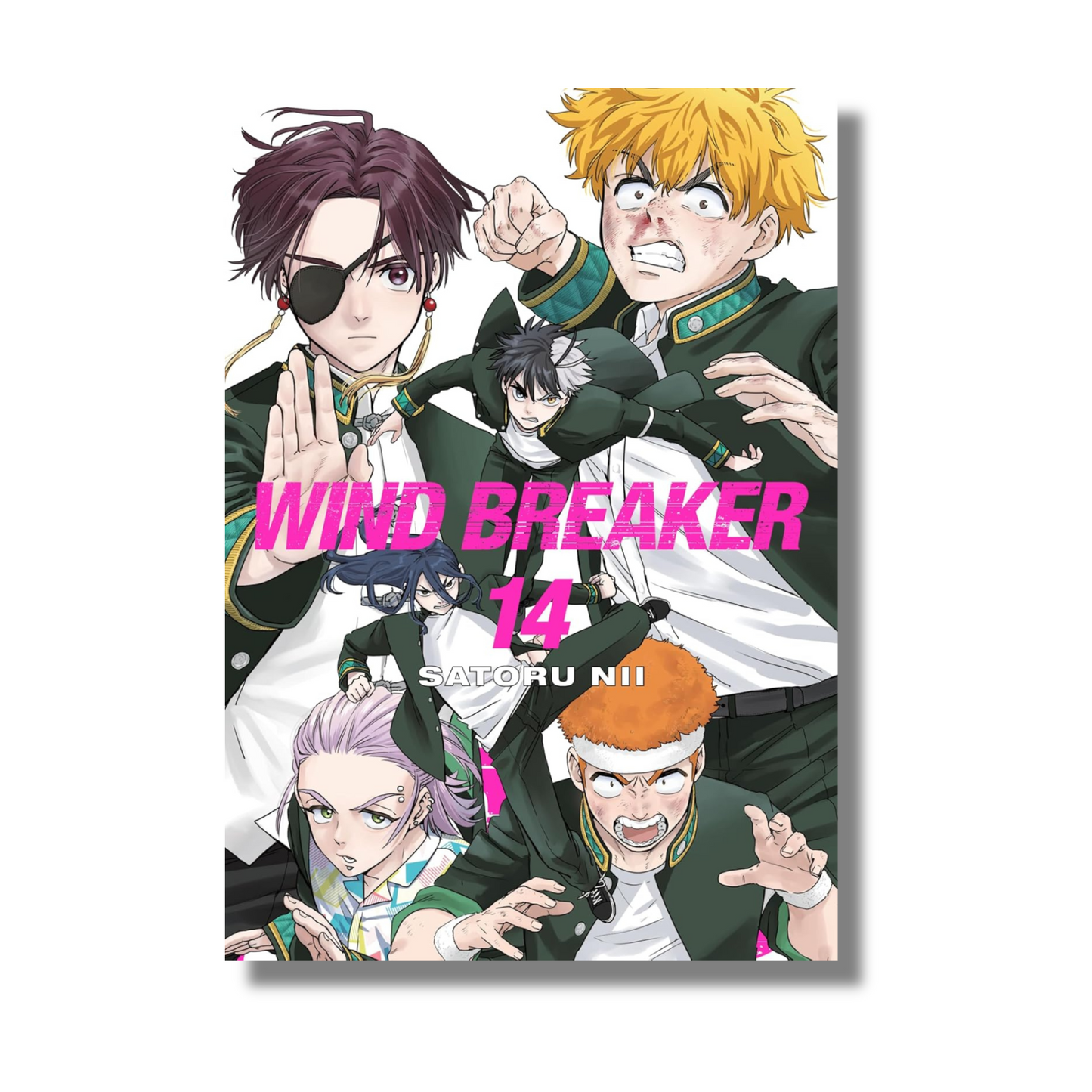 Wind Breaker Vol 14